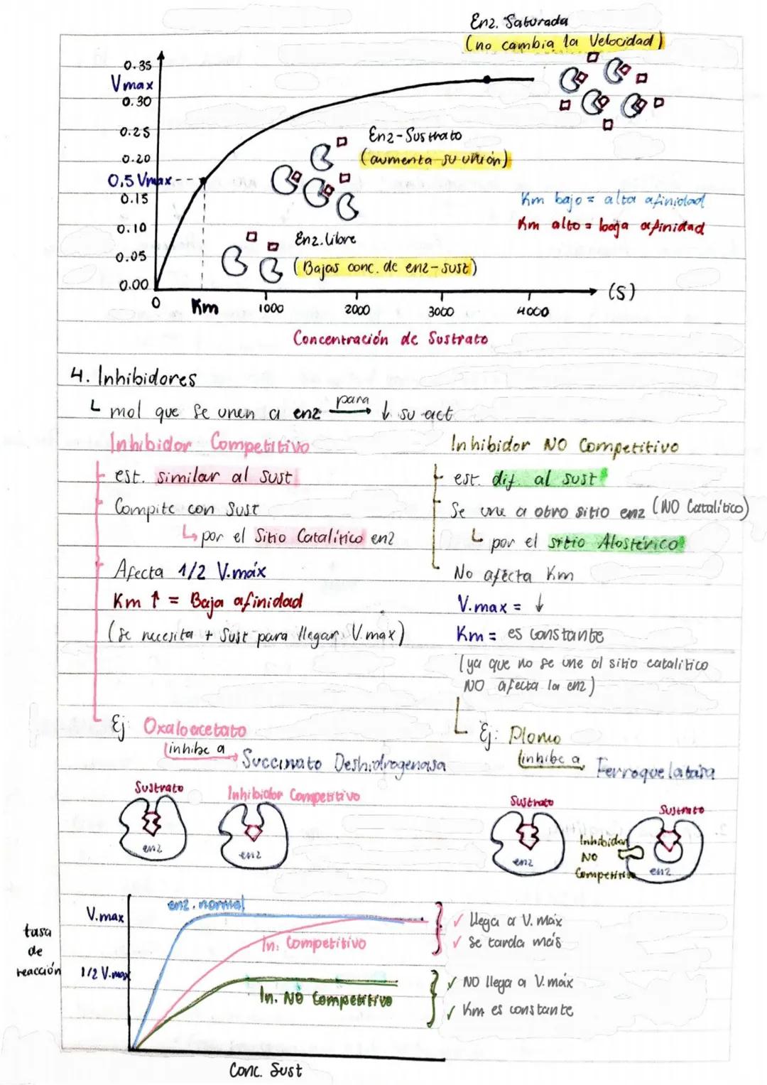 # Tema 1: Bioquímica
# Enzimas
ANTINFLAMATORIOS:
Generalidades / Notas:
- Bromelina (enz piña) degradan las proteínas
- Papaína (enz. le