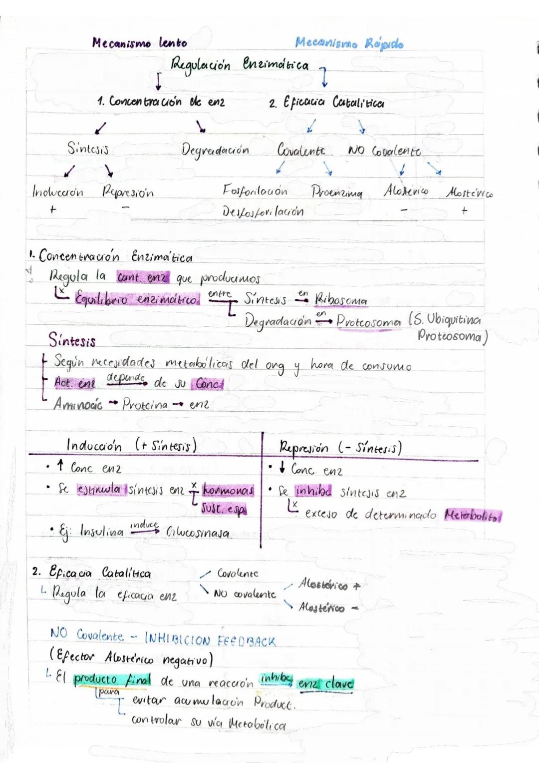# Tema 1: Bioquímica
# Enzimas
ANTINFLAMATORIOS:
Generalidades / Notas:
- Bromelina (enz piña) degradan las proteínas
- Papaína (enz. le