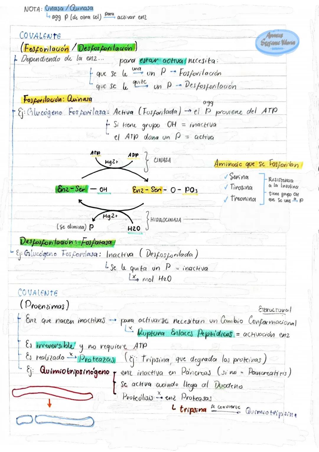 # Tema 1: Bioquímica
# Enzimas
ANTINFLAMATORIOS:
Generalidades / Notas:
- Bromelina (enz piña) degradan las proteínas
- Papaína (enz. le