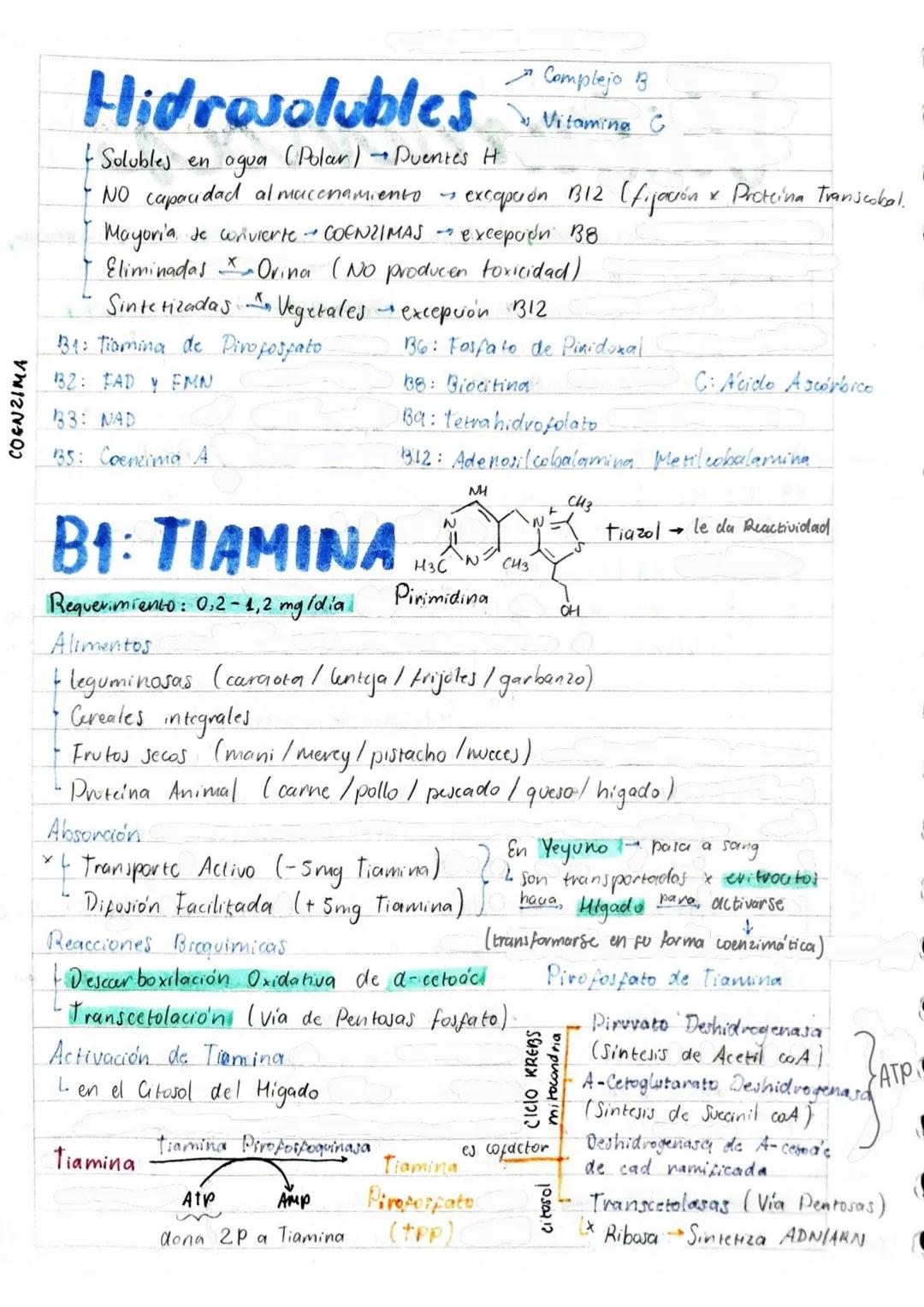 # Tema 1: Bioquímica
# Enzimas
ANTINFLAMATORIOS:
Generalidades / Notas:
- Bromelina (enz piña) degradan las proteínas
- Papaína (enz. le