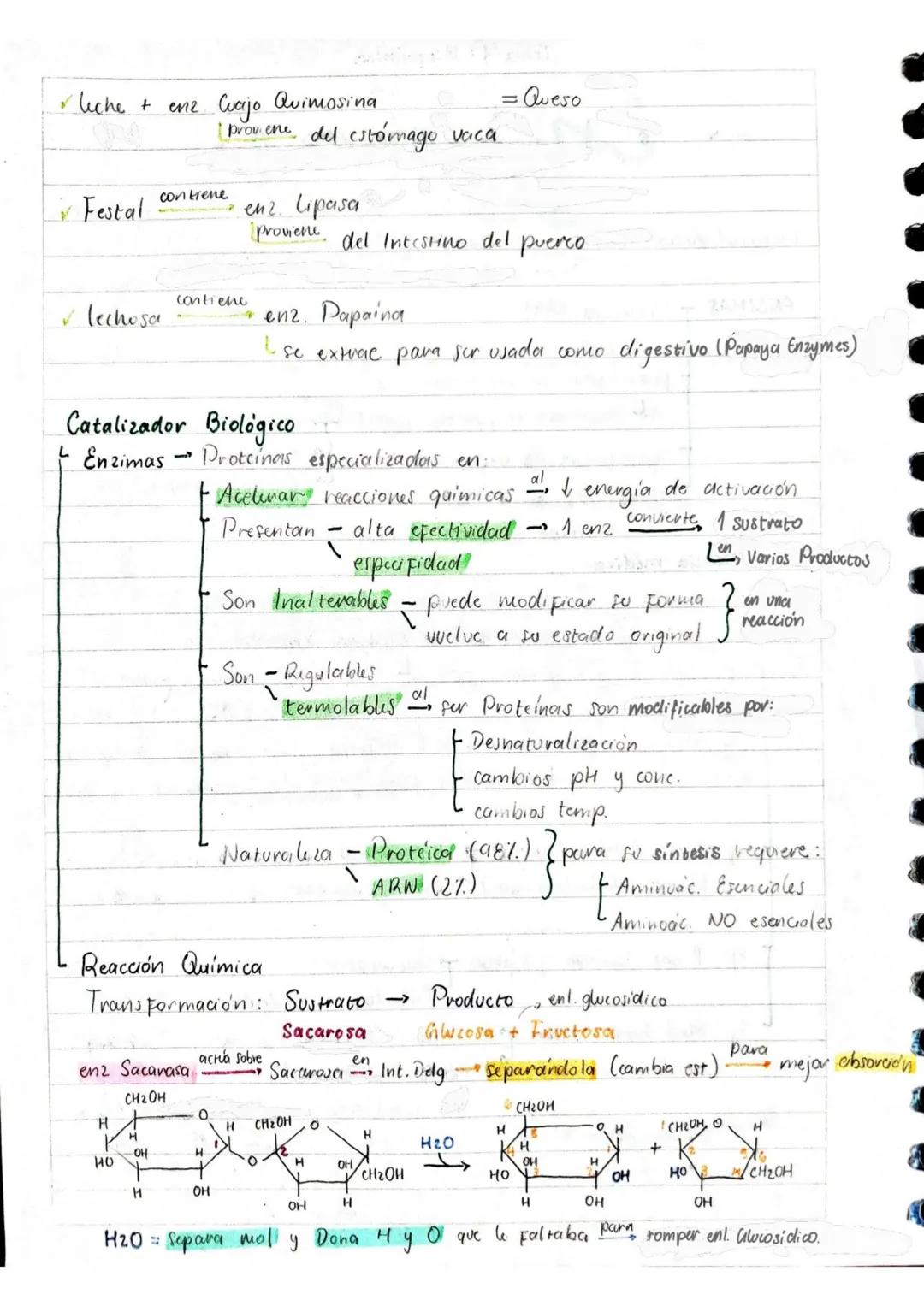 # Tema 1: Bioquímica
# Enzimas
ANTINFLAMATORIOS:
Generalidades / Notas:
- Bromelina (enz piña) degradan las proteínas
- Papaína (enz. le