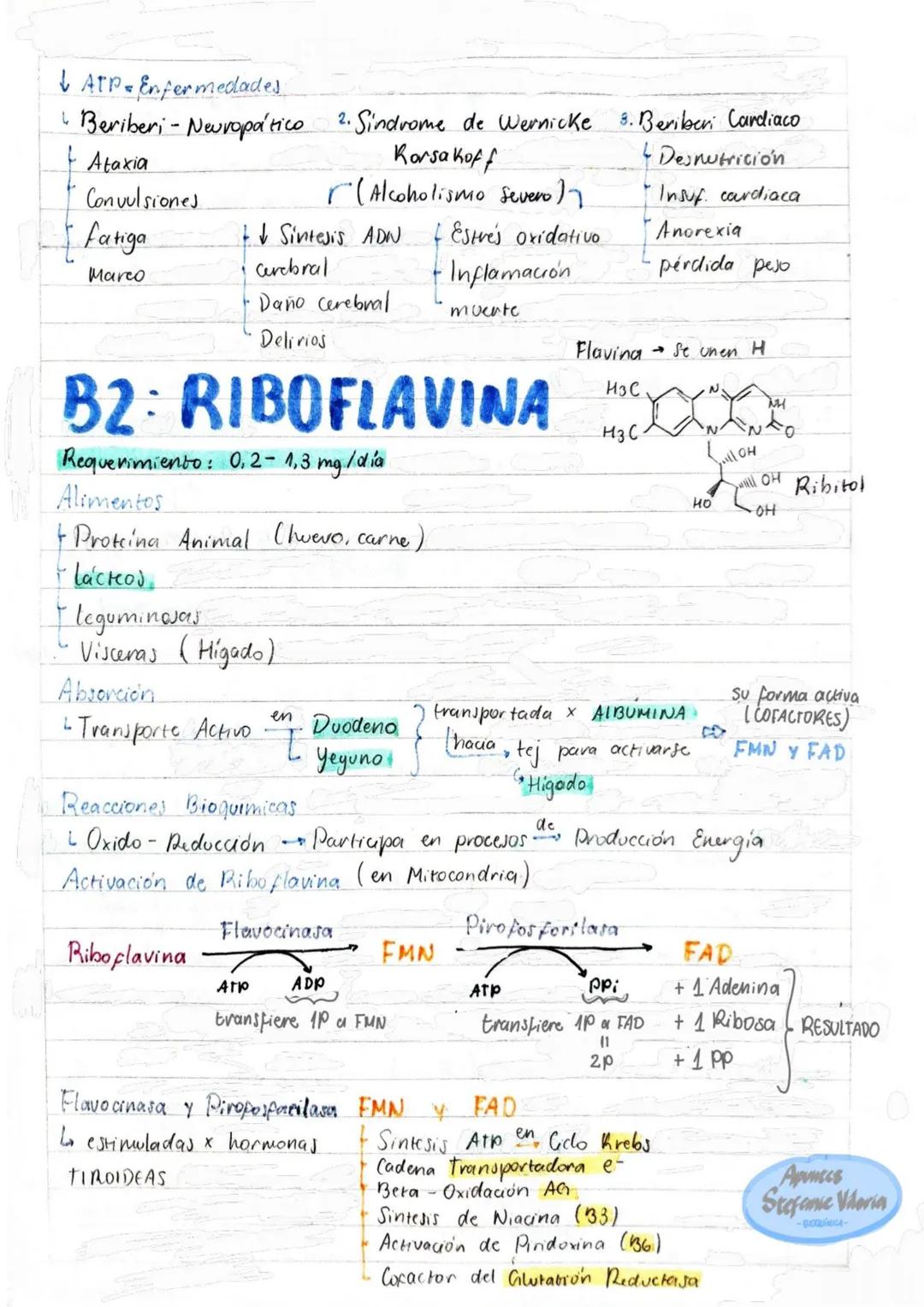# Tema 1: Bioquímica
# Enzimas
ANTINFLAMATORIOS:
Generalidades / Notas:
- Bromelina (enz piña) degradan las proteínas
- Papaína (enz. le