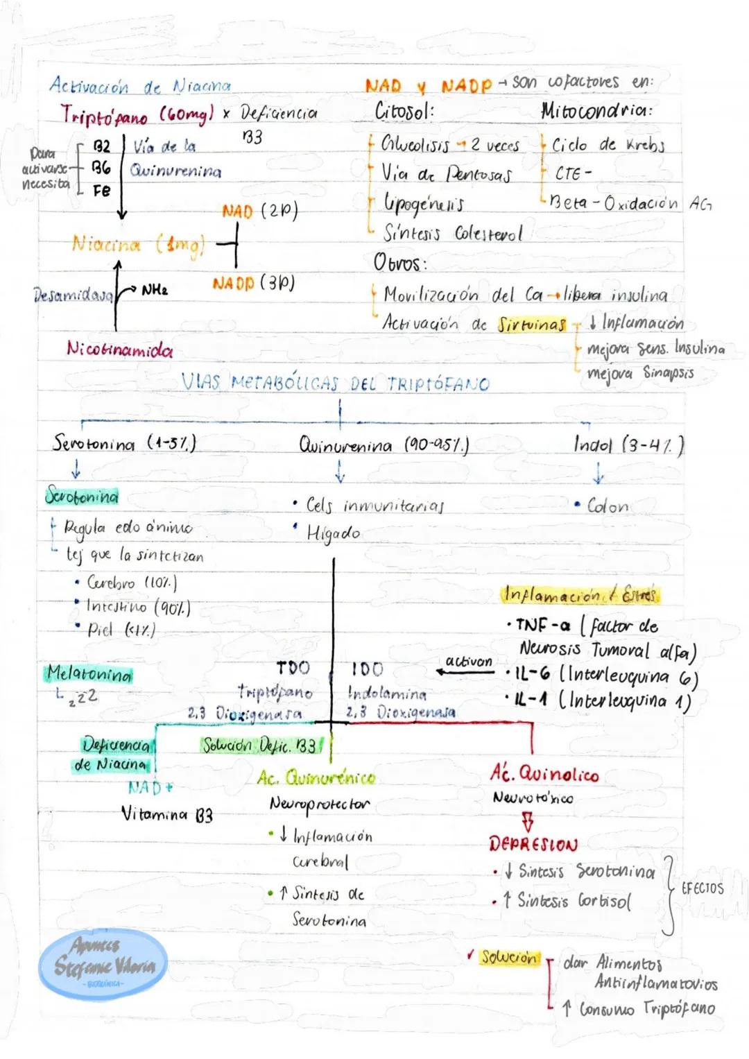 # Tema 1: Bioquímica
# Enzimas
ANTINFLAMATORIOS:
Generalidades / Notas:
- Bromelina (enz piña) degradan las proteínas
- Papaína (enz. le