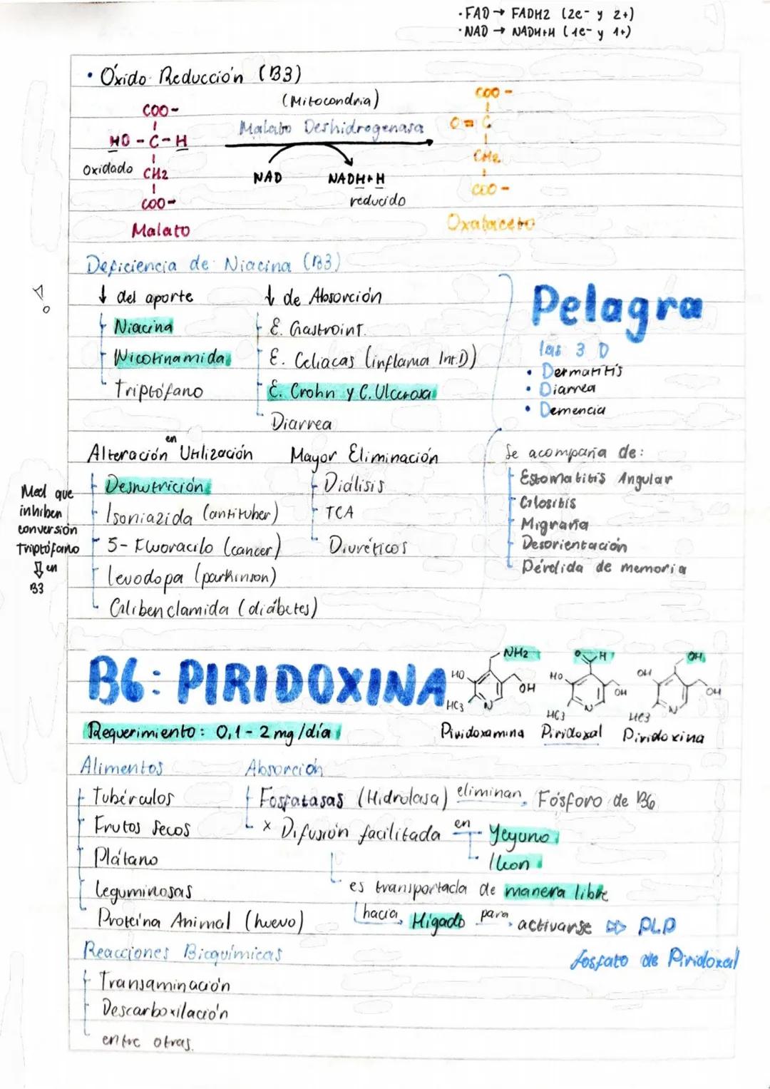 # Tema 1: Bioquímica
# Enzimas
ANTINFLAMATORIOS:
Generalidades / Notas:
- Bromelina (enz piña) degradan las proteínas
- Papaína (enz. le