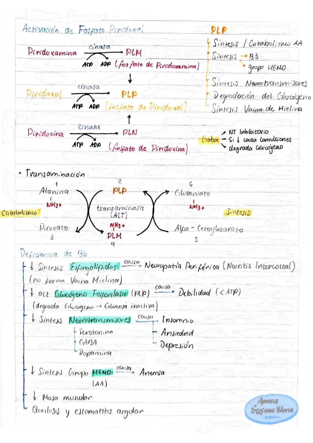 # Tema 1: Bioquímica
# Enzimas
ANTINFLAMATORIOS:
Generalidades / Notas:
- Bromelina (enz piña) degradan las proteínas
- Papaína (enz. le