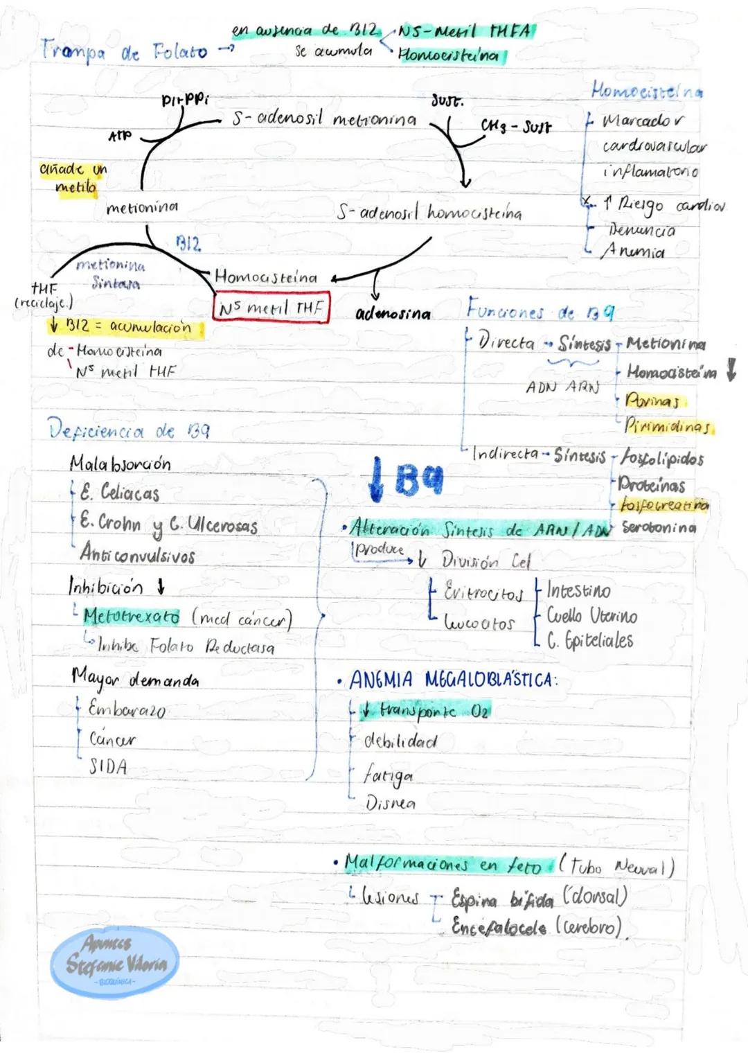 # Tema 1: Bioquímica
# Enzimas
ANTINFLAMATORIOS:
Generalidades / Notas:
- Bromelina (enz piña) degradan las proteínas
- Papaína (enz. le