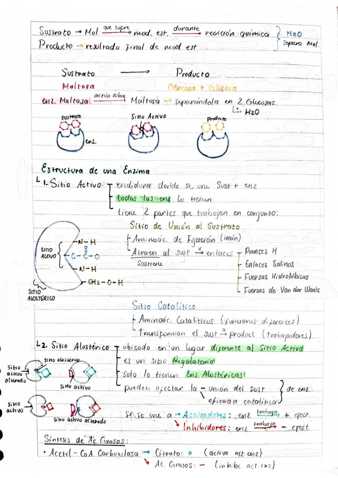 # Tema 1: Bioquímica
# Enzimas
ANTINFLAMATORIOS:
Generalidades / Notas:
- Bromelina (enz piña) degradan las proteínas
- Papaína (enz. le