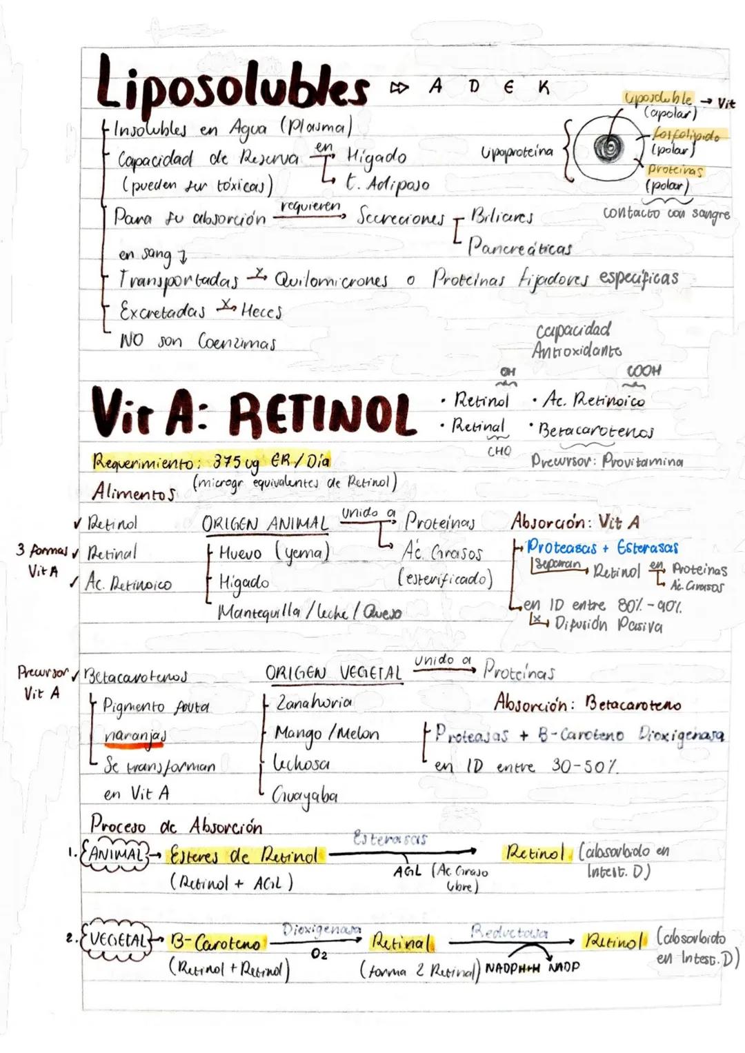 # Tema 1: Bioquímica
# Enzimas
ANTINFLAMATORIOS:
Generalidades / Notas:
- Bromelina (enz piña) degradan las proteínas
- Papaína (enz. le