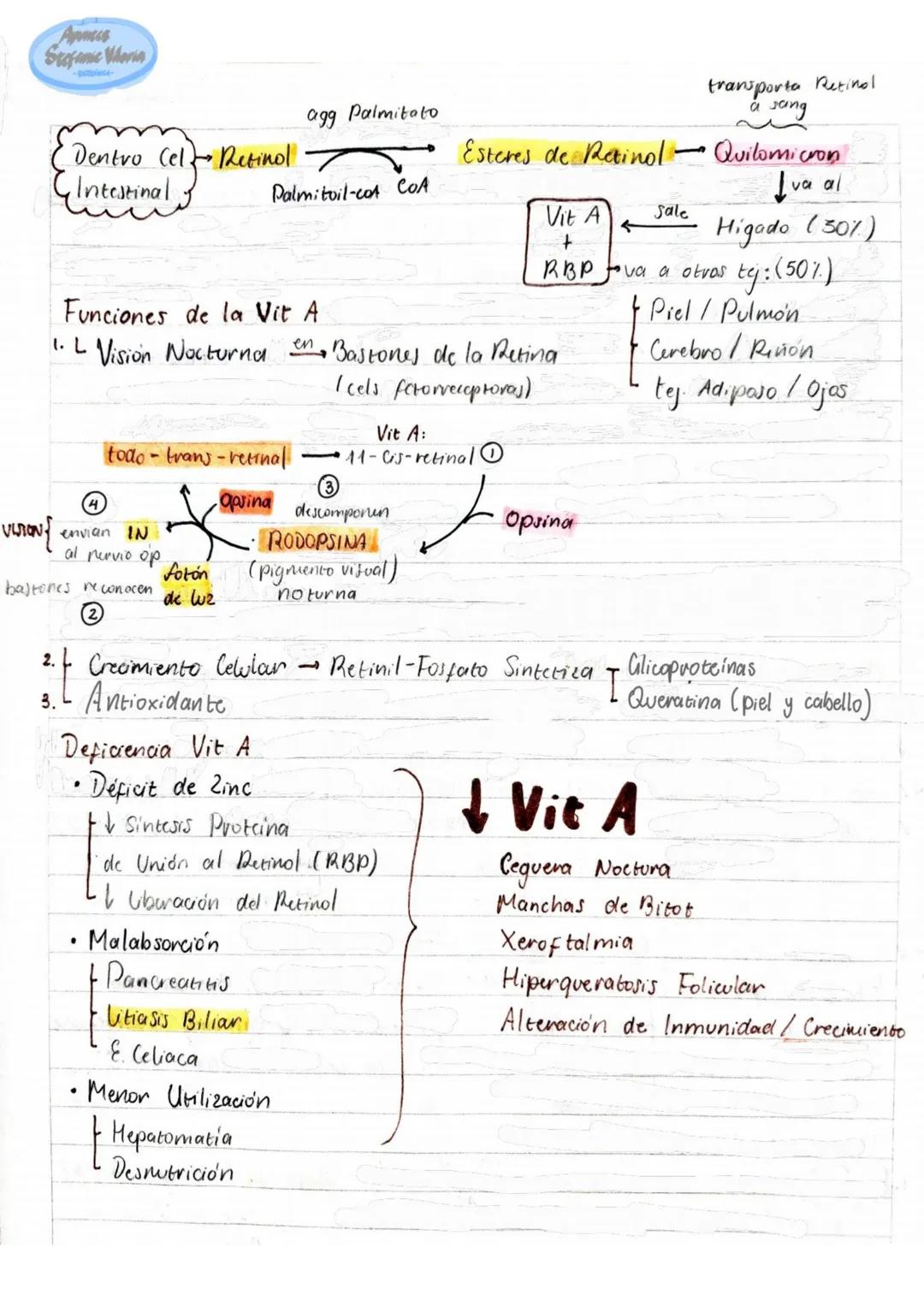 # Tema 1: Bioquímica
# Enzimas
ANTINFLAMATORIOS:
Generalidades / Notas:
- Bromelina (enz piña) degradan las proteínas
- Papaína (enz. le