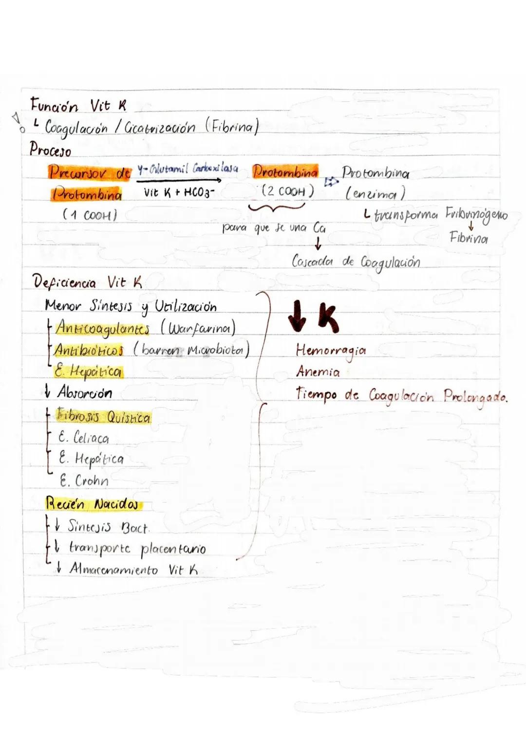 # Tema 1: Bioquímica
# Enzimas
ANTINFLAMATORIOS:
Generalidades / Notas:
- Bromelina (enz piña) degradan las proteínas
- Papaína (enz. le