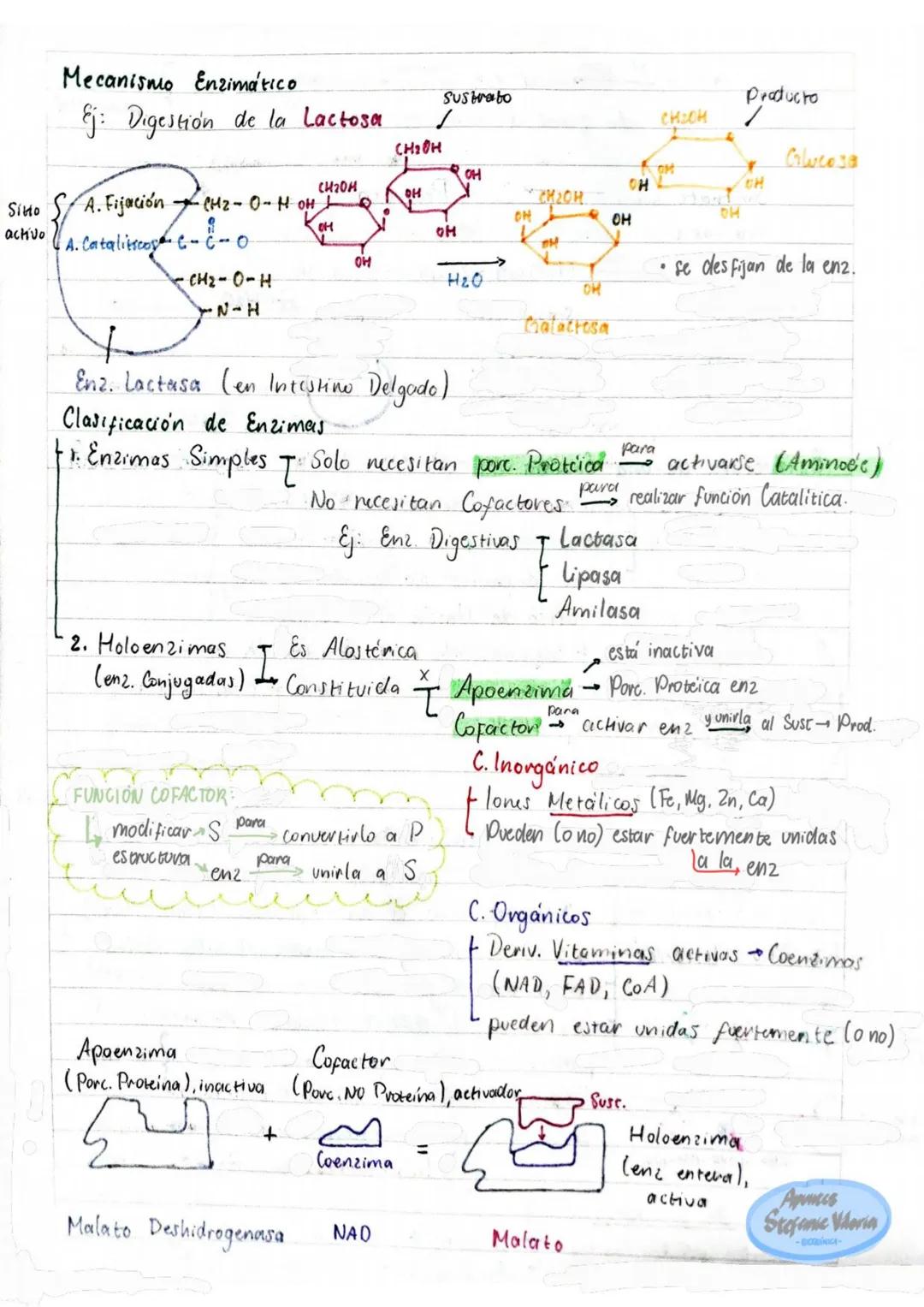 # Tema 1: Bioquímica
# Enzimas
ANTINFLAMATORIOS:
Generalidades / Notas:
- Bromelina (enz piña) degradan las proteínas
- Papaína (enz. le