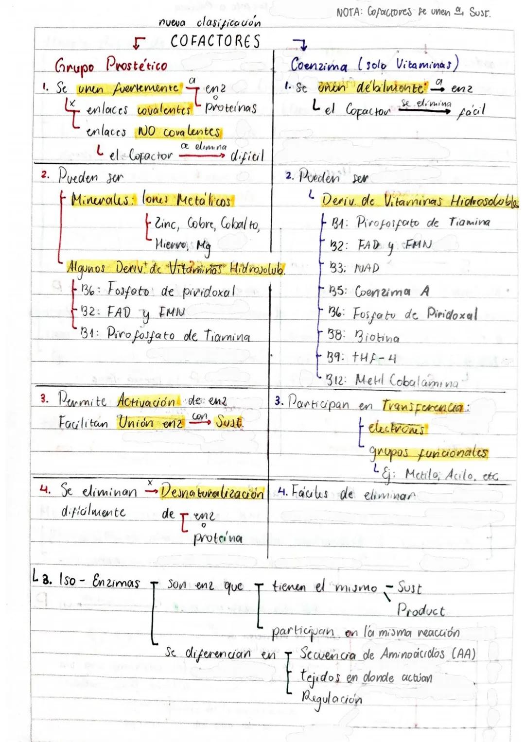 # Tema 1: Bioquímica
# Enzimas
ANTINFLAMATORIOS:
Generalidades / Notas:
- Bromelina (enz piña) degradan las proteínas
- Papaína (enz. le