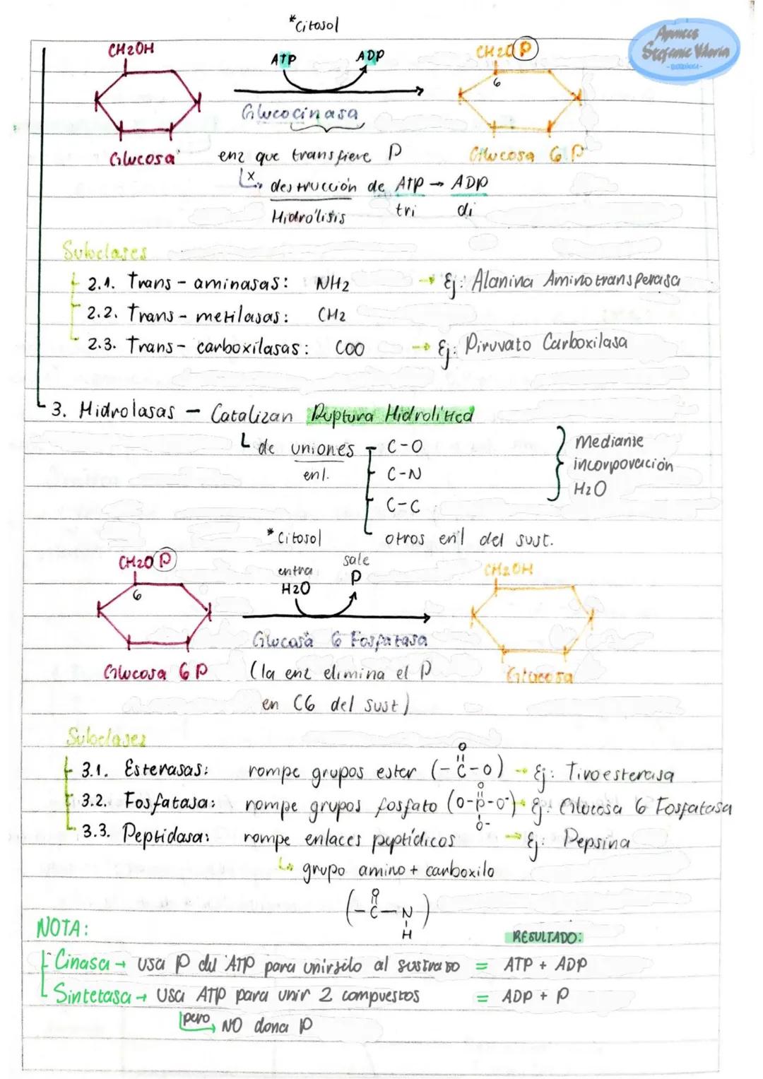 # Tema 1: Bioquímica
# Enzimas
ANTINFLAMATORIOS:
Generalidades / Notas:
- Bromelina (enz piña) degradan las proteínas
- Papaína (enz. le
