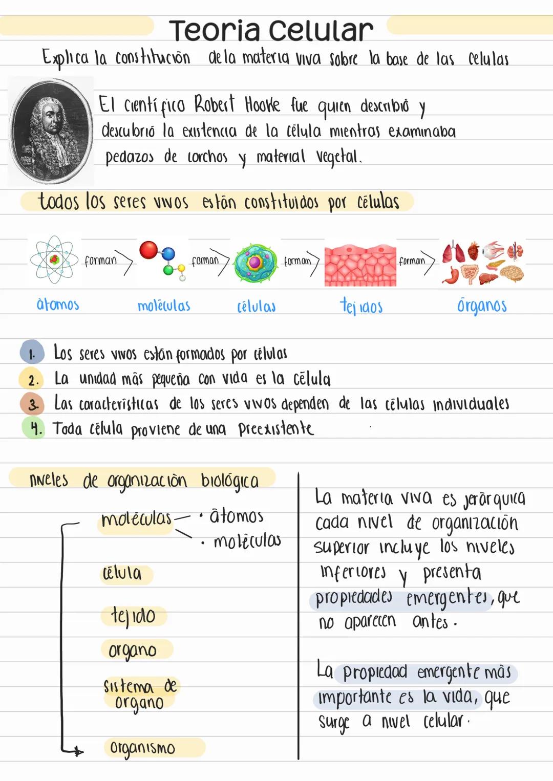 Teoria Celular
Explica la constitución de la materia viva sobre la base de las celulas
El científico Robert Hooke fue quien describió y
desc