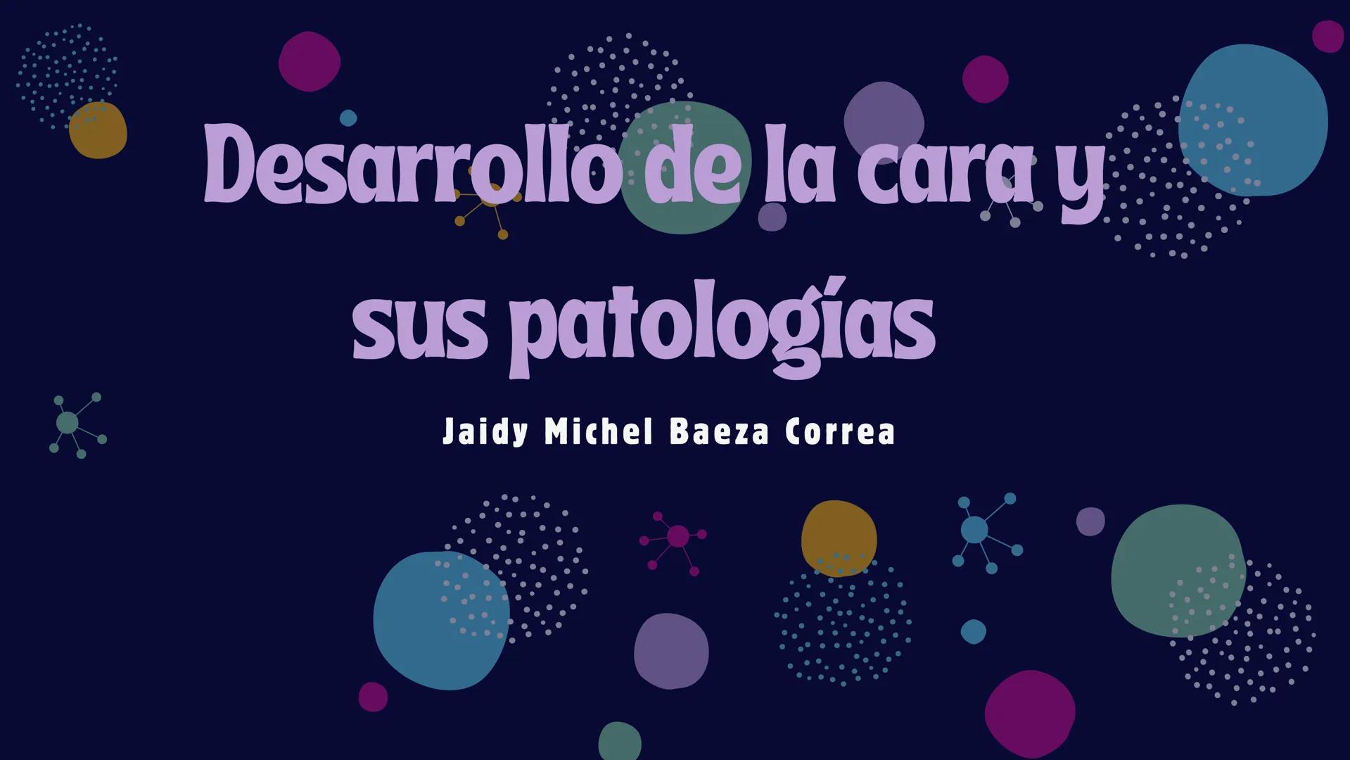 # Desarrollo de la cara y
sus patologías
Jaidy Michel Baeza Correa MAYO FOUNDATION FOR MEDICAL EDUCATION AND RESEARCH. ALL RIGHTS RESERVED