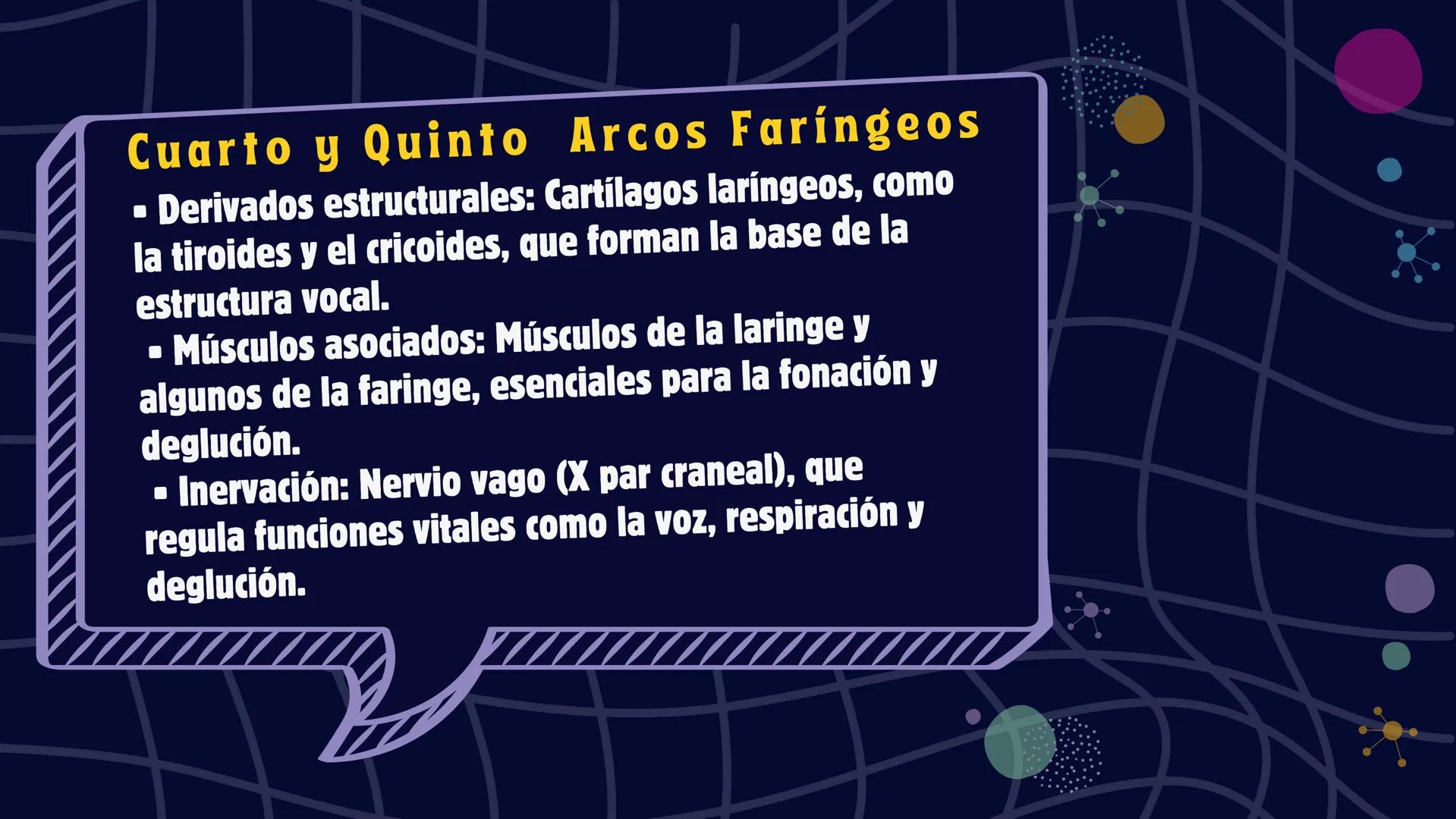 # Desarrollo de la cara y
sus patologías
Jaidy Michel Baeza Correa MAYO FOUNDATION FOR MEDICAL EDUCATION AND RESEARCH. ALL RIGHTS RESERVED