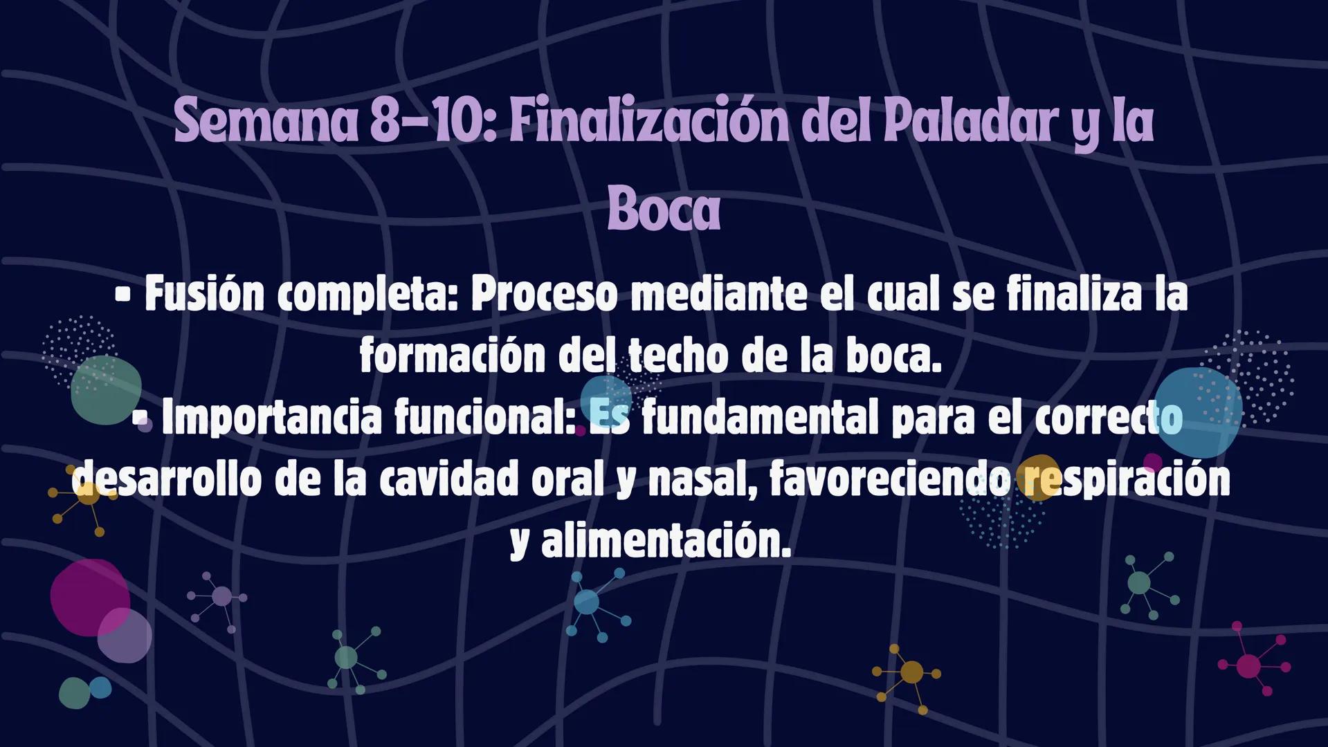 # Desarrollo de la cara y
sus patologías
Jaidy Michel Baeza Correa MAYO FOUNDATION FOR MEDICAL EDUCATION AND RESEARCH. ALL RIGHTS RESERVED