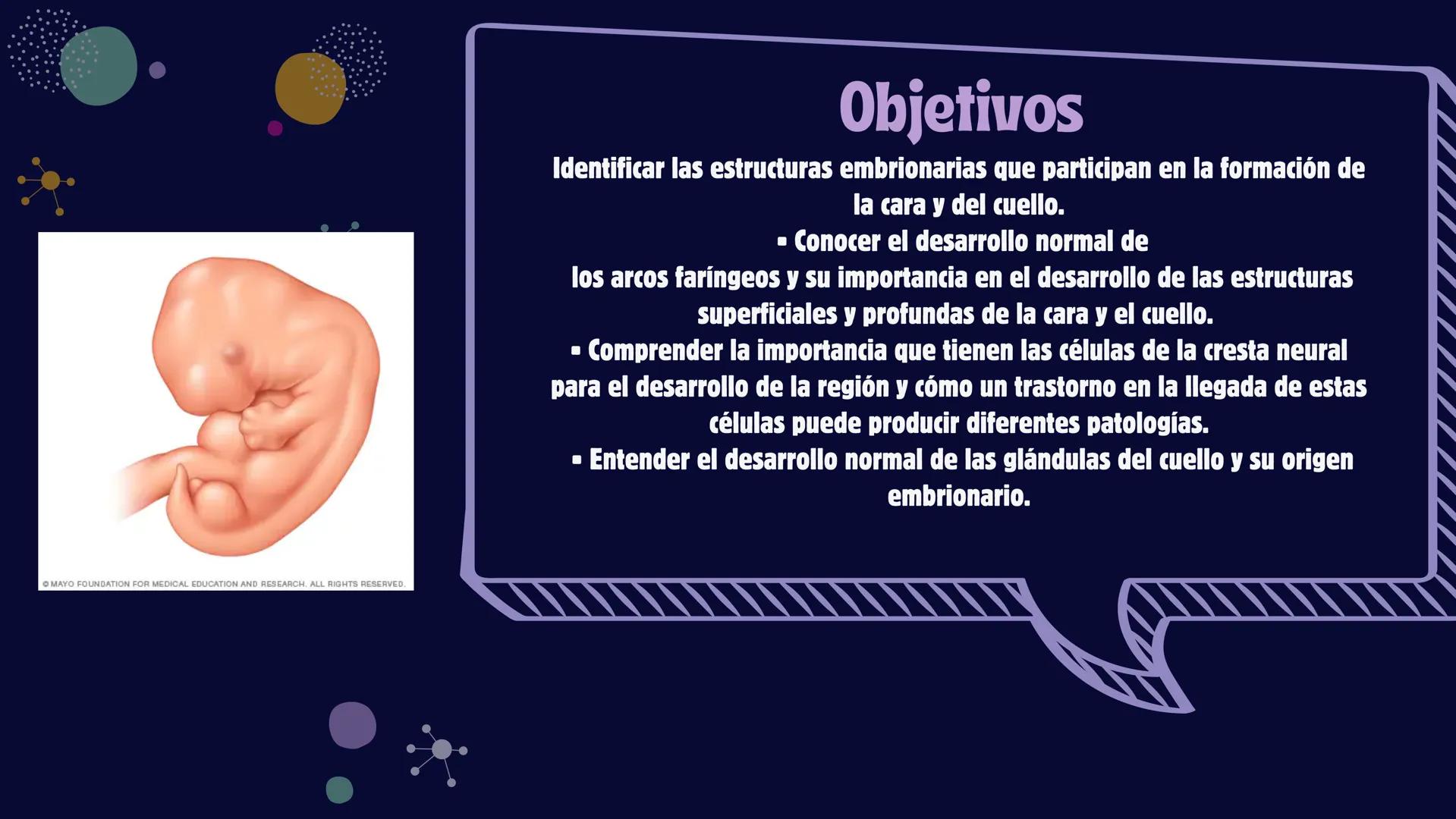 # Desarrollo de la cara y
sus patologías
Jaidy Michel Baeza Correa MAYO FOUNDATION FOR MEDICAL EDUCATION AND RESEARCH. ALL RIGHTS RESERVED