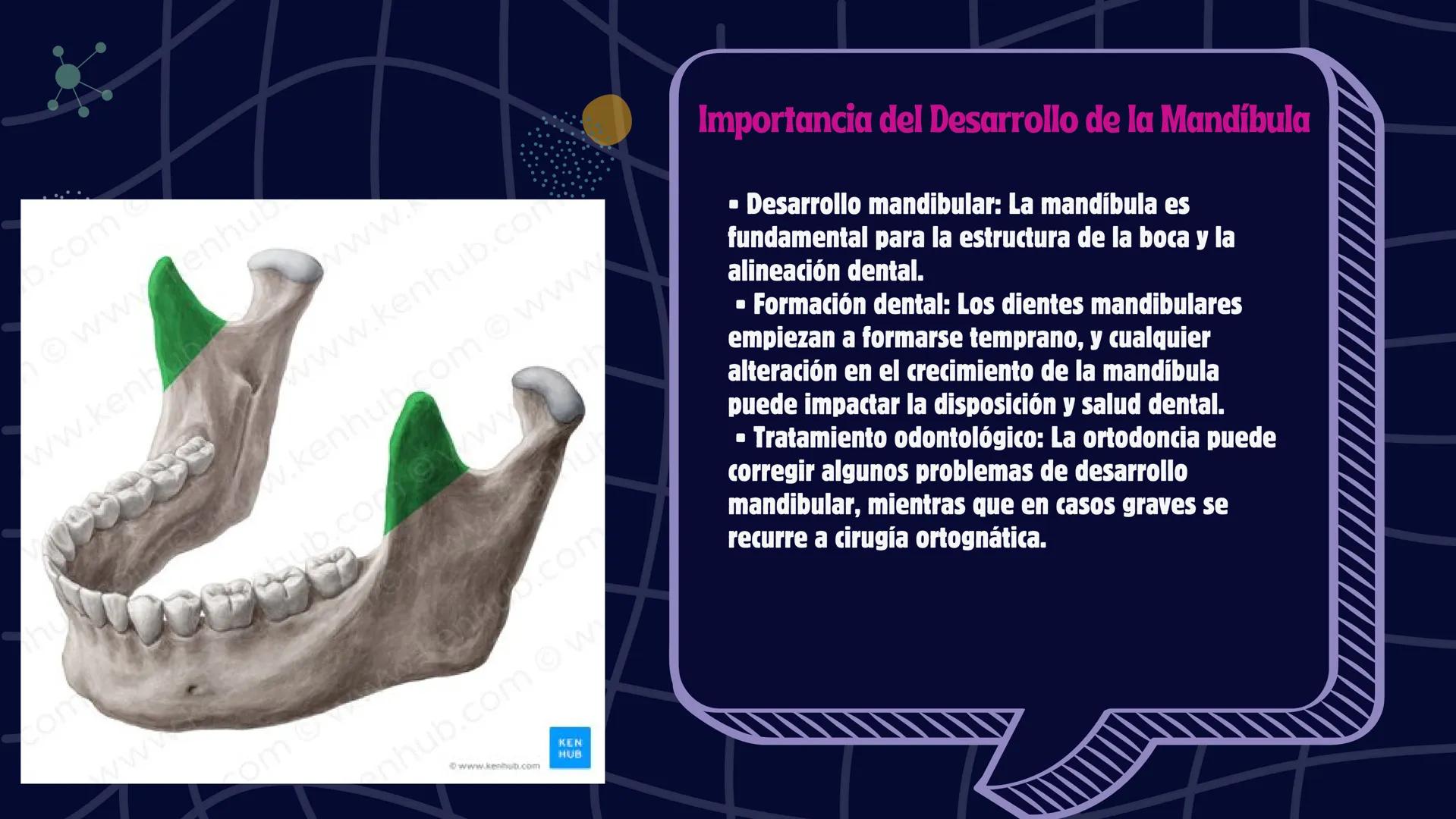 # Desarrollo de la cara y
sus patologías
Jaidy Michel Baeza Correa MAYO FOUNDATION FOR MEDICAL EDUCATION AND RESEARCH. ALL RIGHTS RESERVED