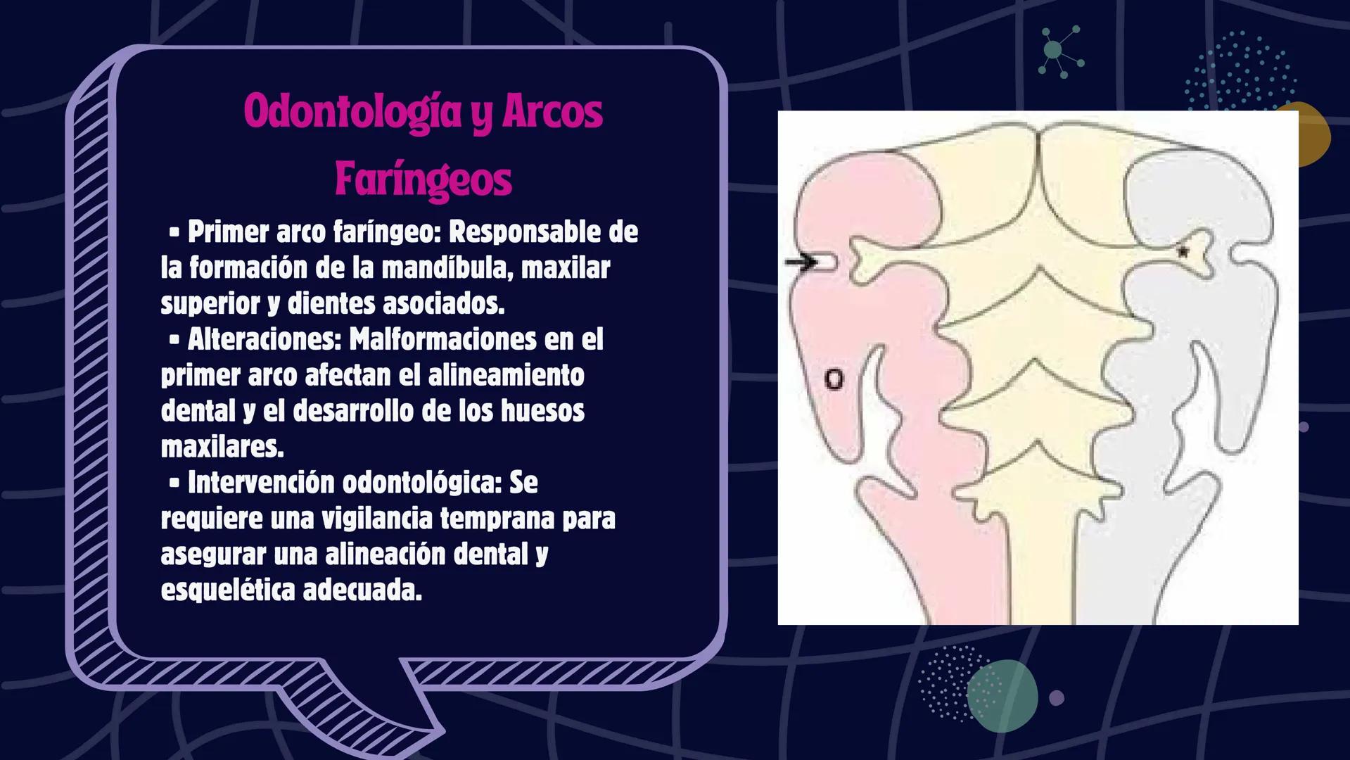 # Desarrollo de la cara y
sus patologías
Jaidy Michel Baeza Correa MAYO FOUNDATION FOR MEDICAL EDUCATION AND RESEARCH. ALL RIGHTS RESERVED