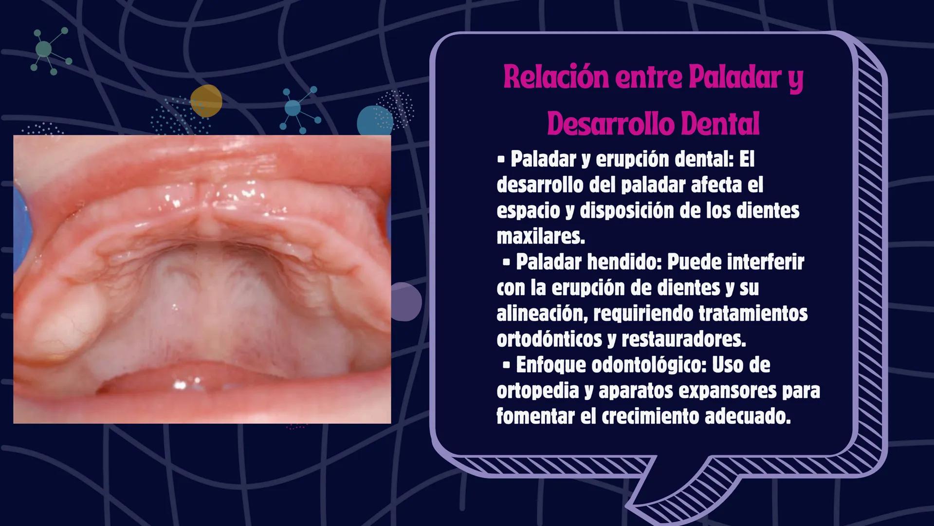 # Desarrollo de la cara y
sus patologías
Jaidy Michel Baeza Correa MAYO FOUNDATION FOR MEDICAL EDUCATION AND RESEARCH. ALL RIGHTS RESERVED