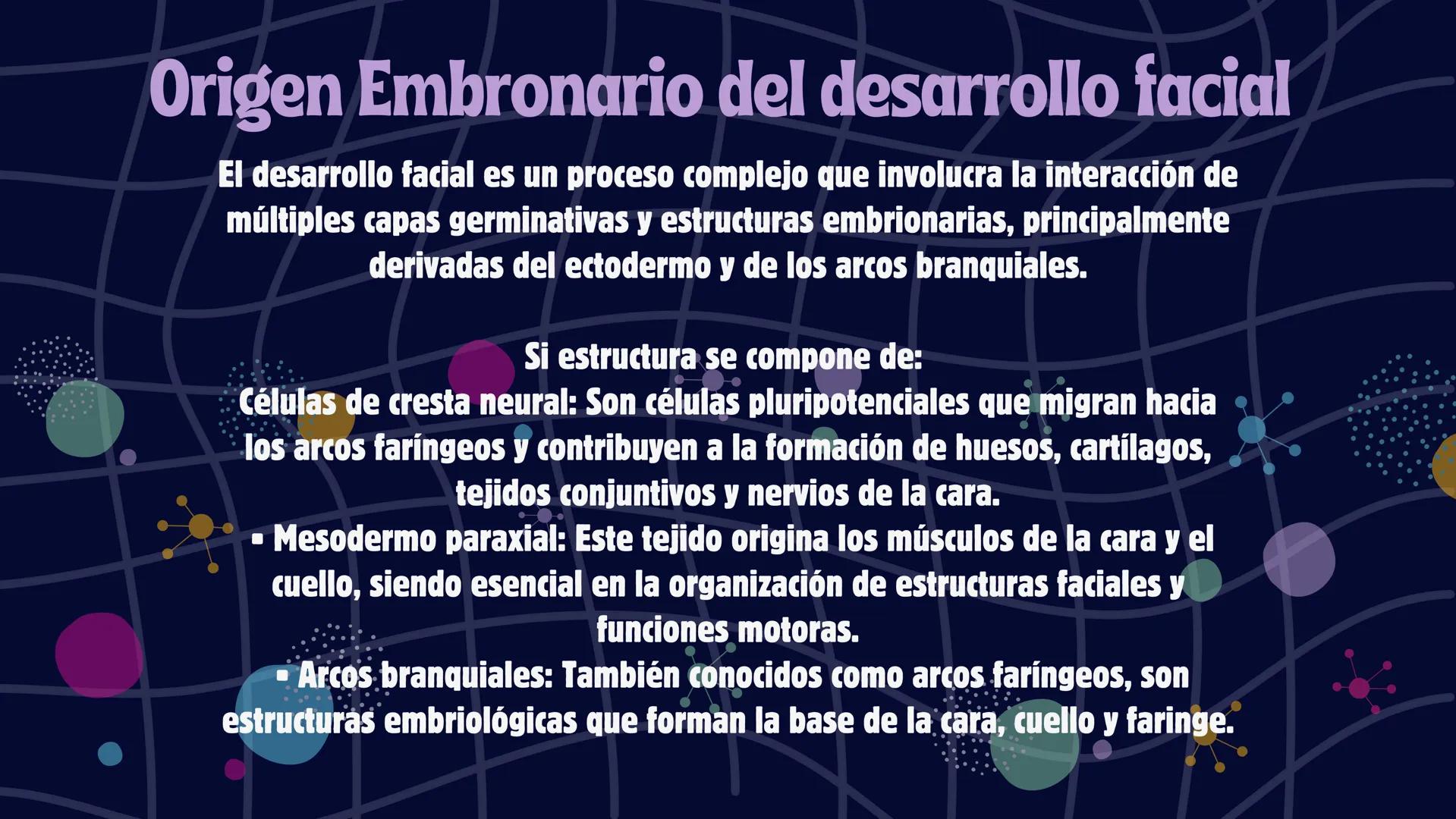 # Desarrollo de la cara y
sus patologías
Jaidy Michel Baeza Correa MAYO FOUNDATION FOR MEDICAL EDUCATION AND RESEARCH. ALL RIGHTS RESERVED