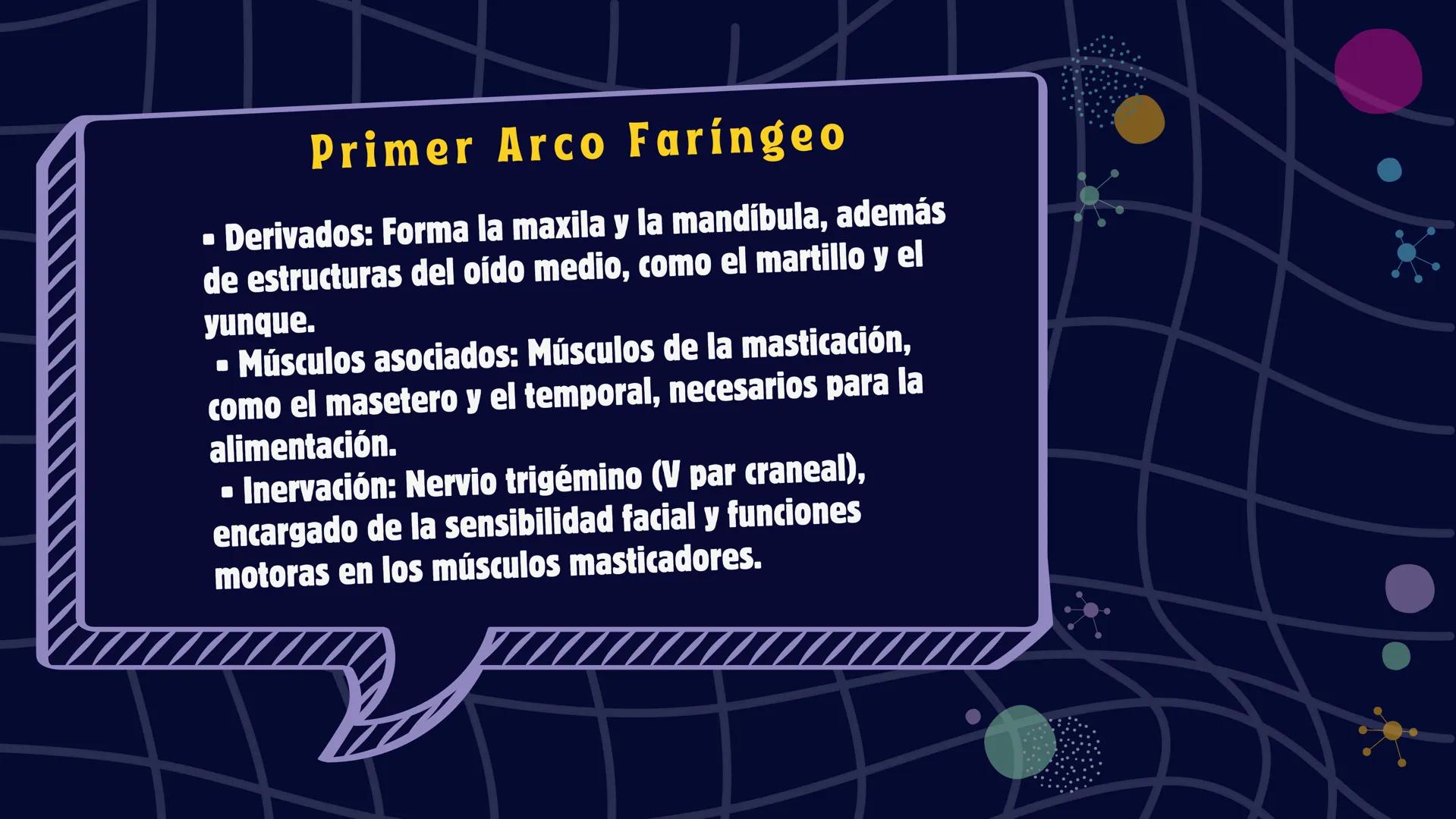 # Desarrollo de la cara y
sus patologías
Jaidy Michel Baeza Correa MAYO FOUNDATION FOR MEDICAL EDUCATION AND RESEARCH. ALL RIGHTS RESERVED