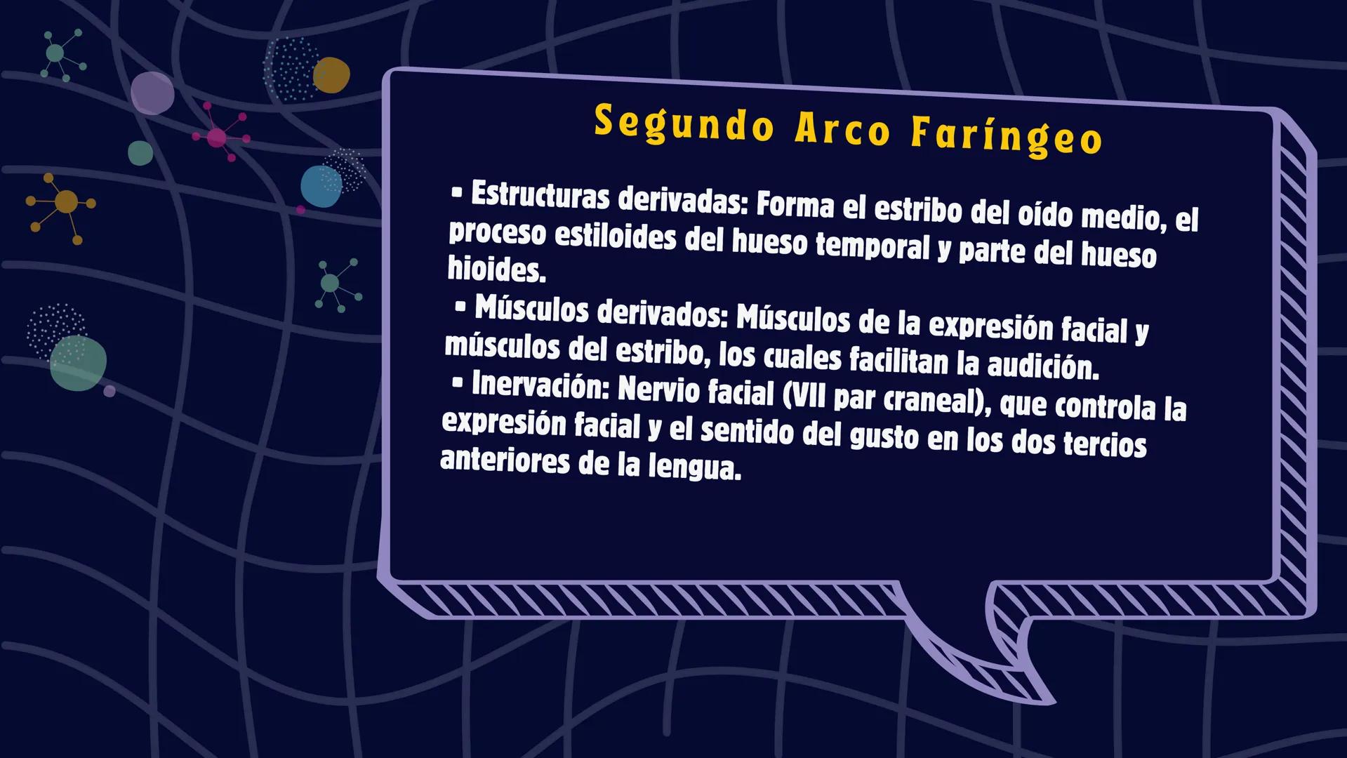 # Desarrollo de la cara y
sus patologías
Jaidy Michel Baeza Correa MAYO FOUNDATION FOR MEDICAL EDUCATION AND RESEARCH. ALL RIGHTS RESERVED