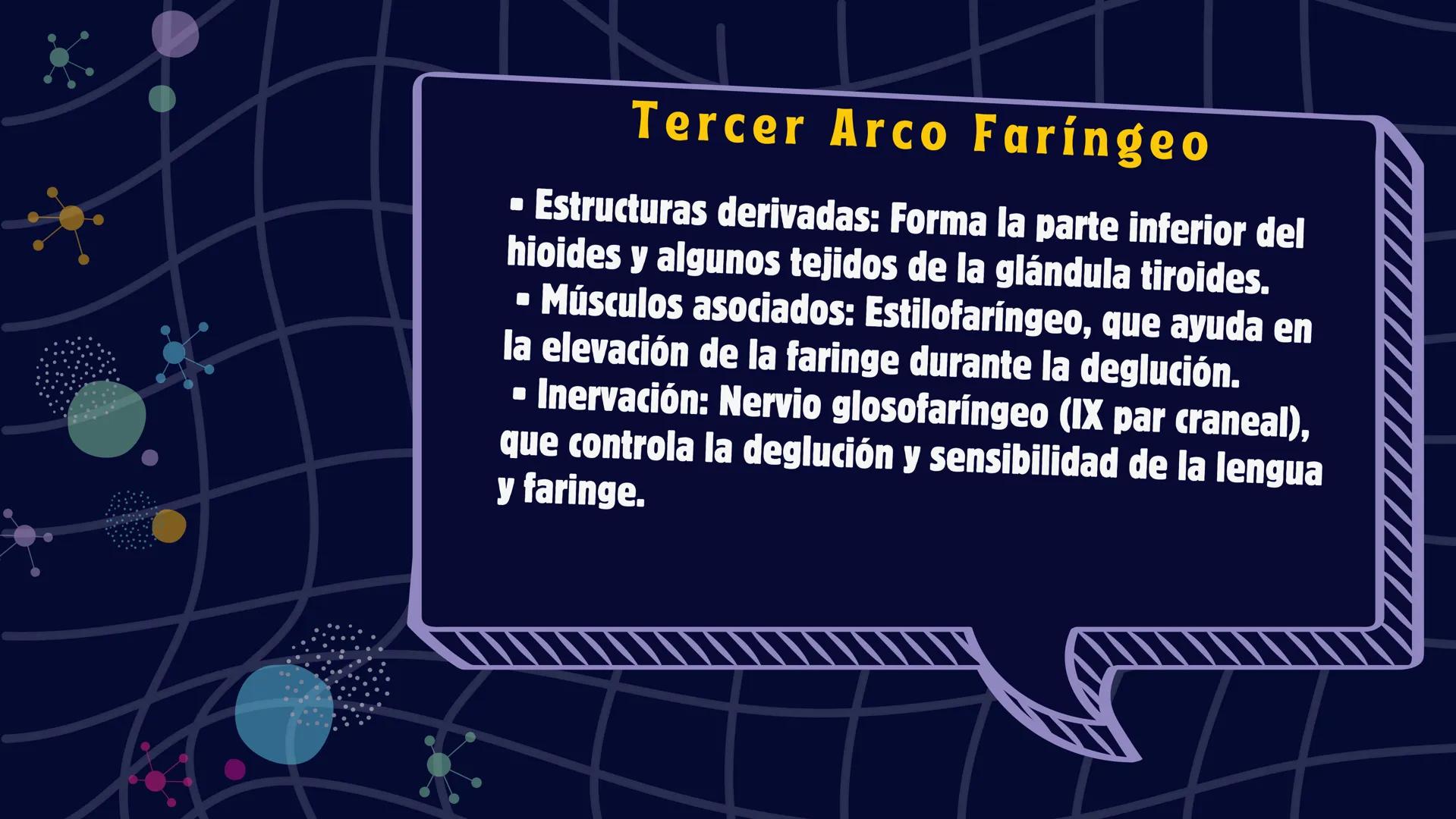 # Desarrollo de la cara y
sus patologías
Jaidy Michel Baeza Correa MAYO FOUNDATION FOR MEDICAL EDUCATION AND RESEARCH. ALL RIGHTS RESERVED