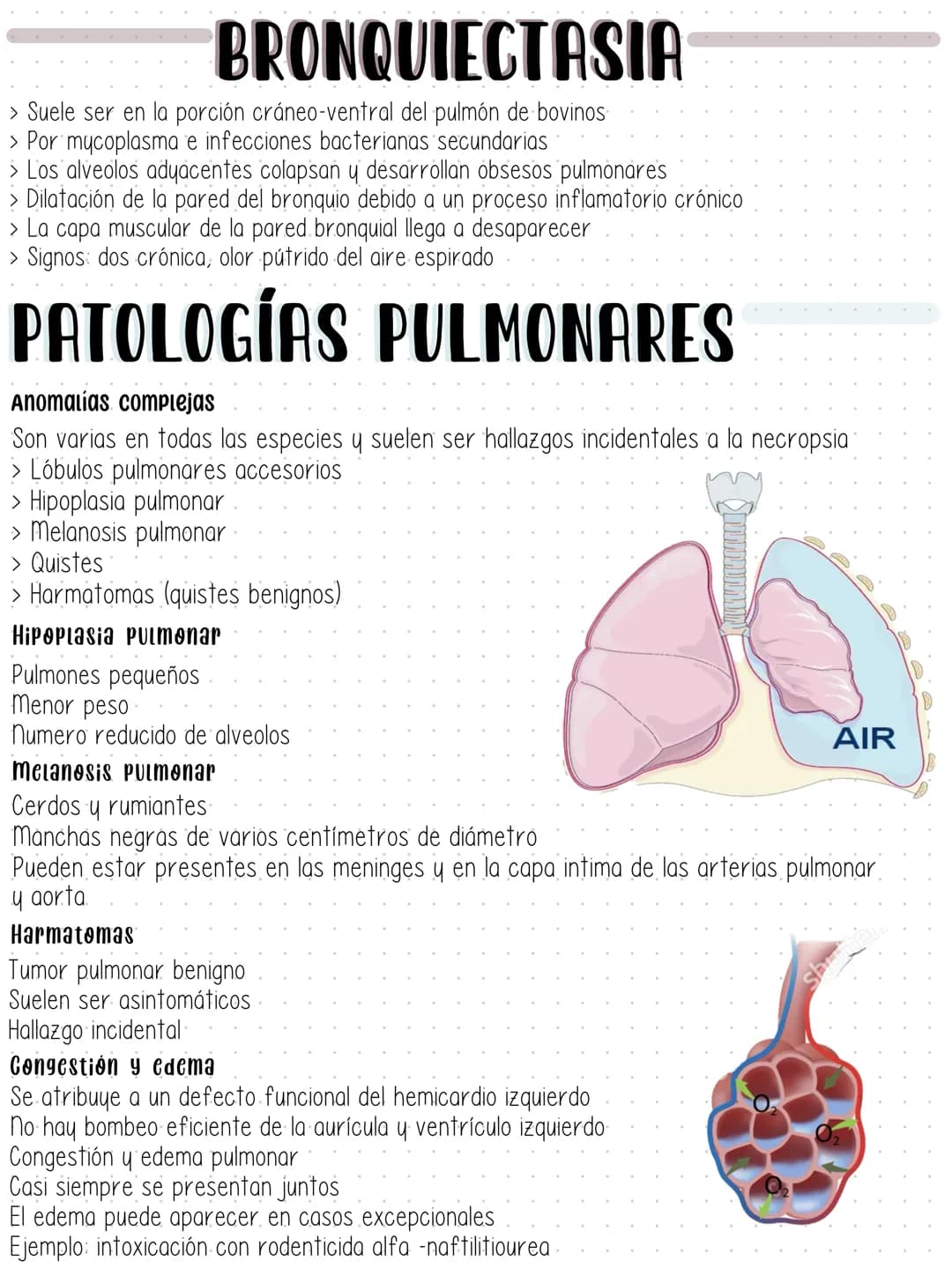 SISTEMA RESPIRATORIO Tracte supeater
- Cavidad nasal (y estructuras adyacentes)
- Faringe
Laringe
- Traquea (hasta la carina)
Susceptibles a