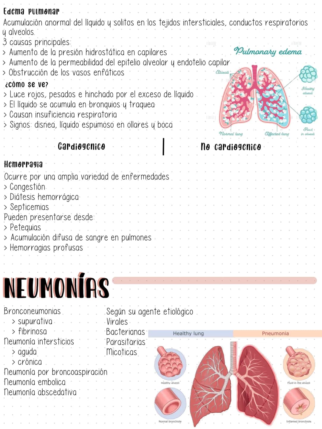 SISTEMA RESPIRATORIO Tracte supeater
- Cavidad nasal (y estructuras adyacentes)
- Faringe
Laringe
- Traquea (hasta la carina)
Susceptibles a