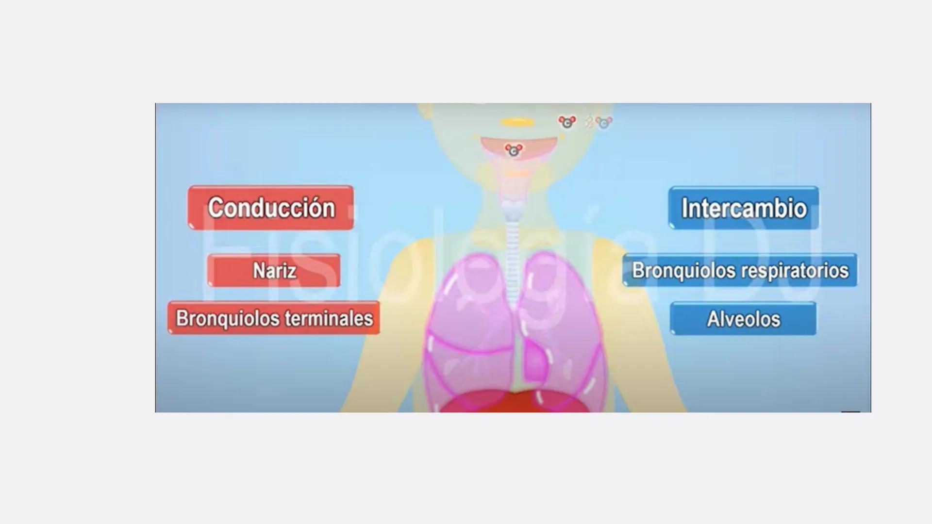 Física en terapia física Termodinámica
• La termodinámica es la rama de la física que
estudia las relaciones entre el calor, el trabajo y
la