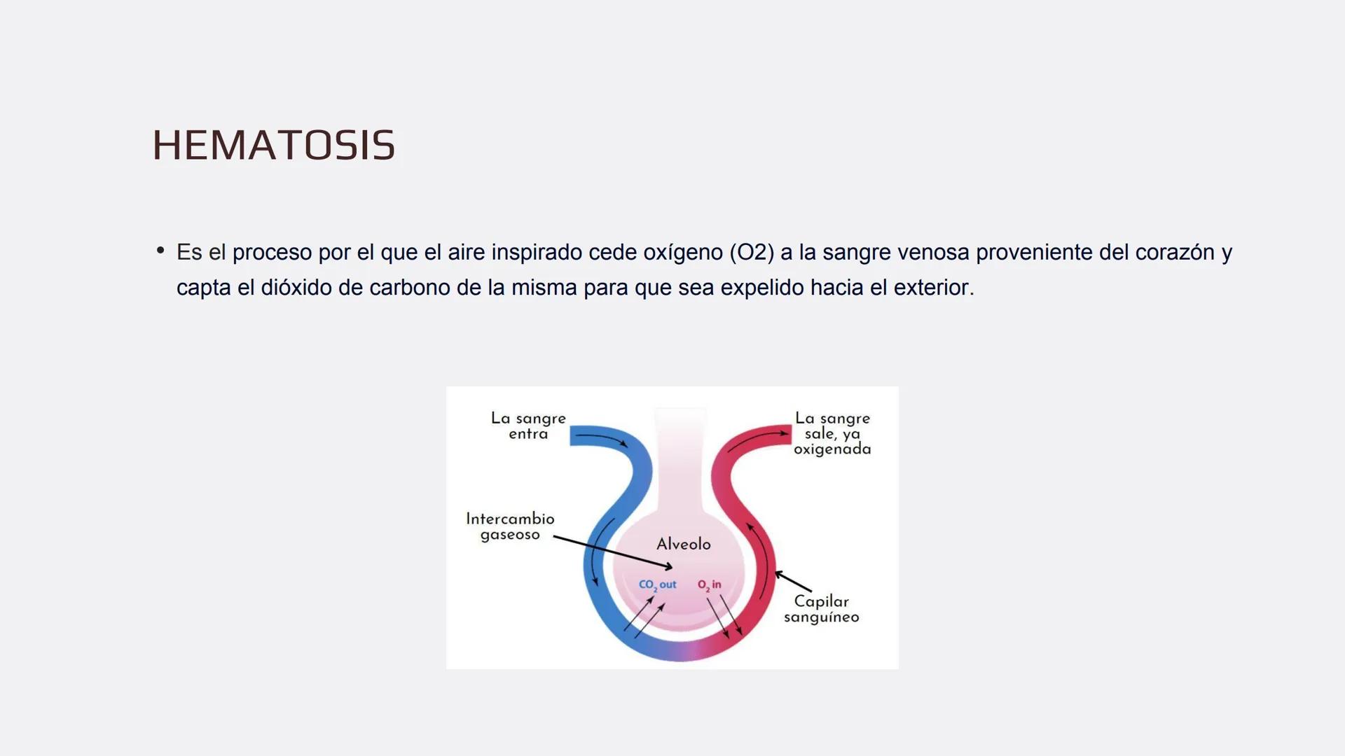 Física en terapia física Termodinámica
• La termodinámica es la rama de la física que
estudia las relaciones entre el calor, el trabajo y
la