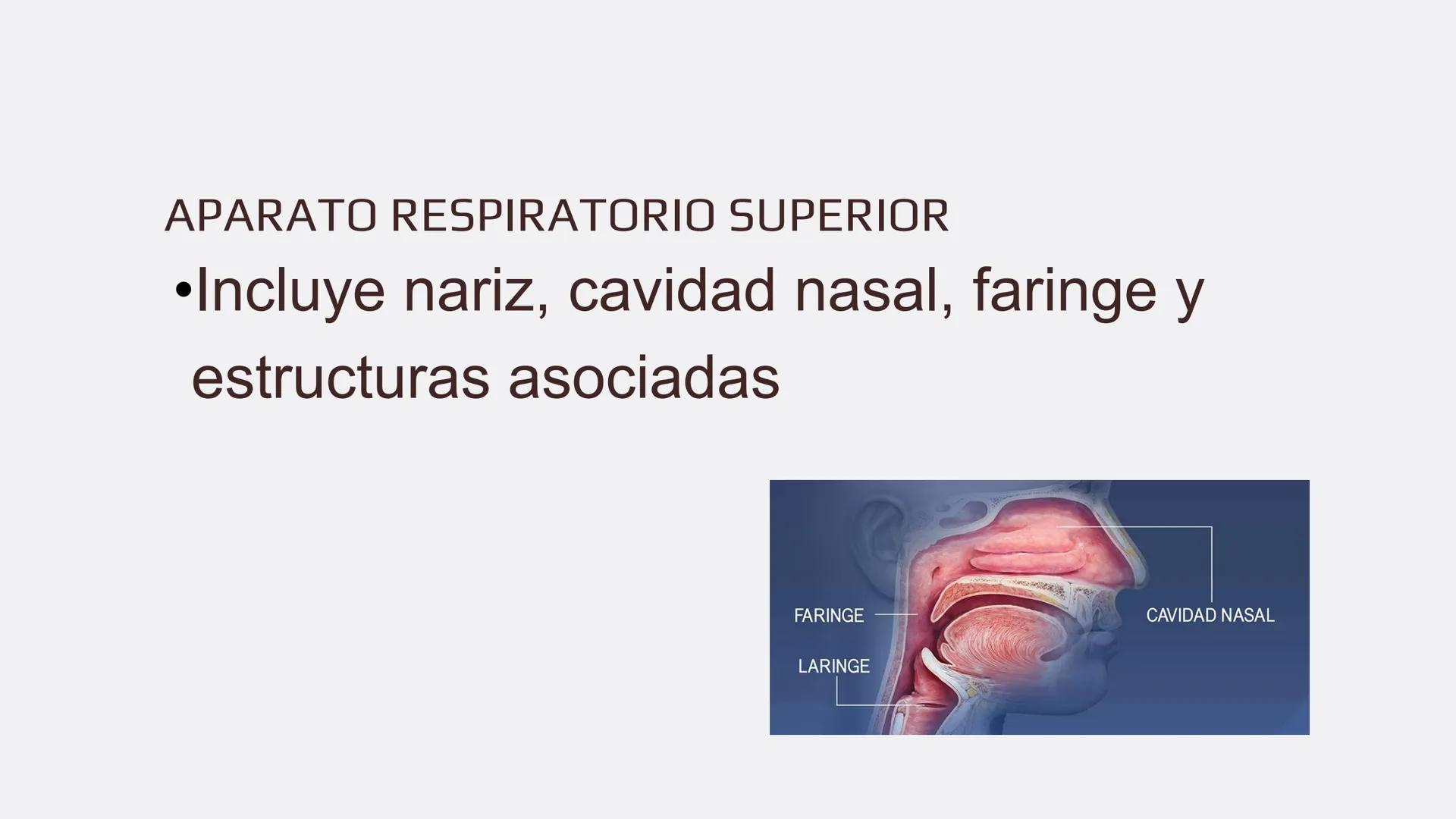Física en terapia física Termodinámica
• La termodinámica es la rama de la física que
estudia las relaciones entre el calor, el trabajo y
la