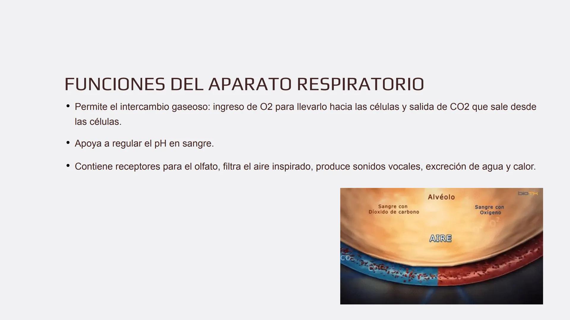 Física en terapia física Termodinámica
• La termodinámica es la rama de la física que
estudia las relaciones entre el calor, el trabajo y
la
