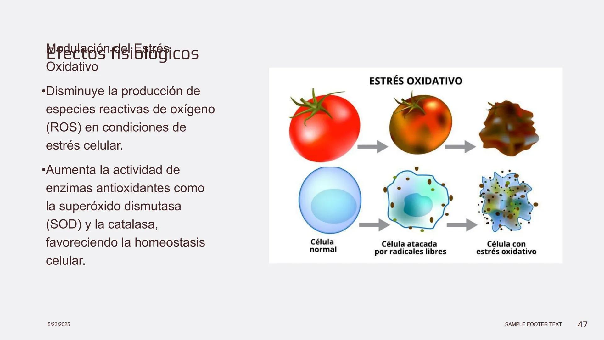 Física en terapia física Termodinámica
• La termodinámica es la rama de la física que
estudia las relaciones entre el calor, el trabajo y
la