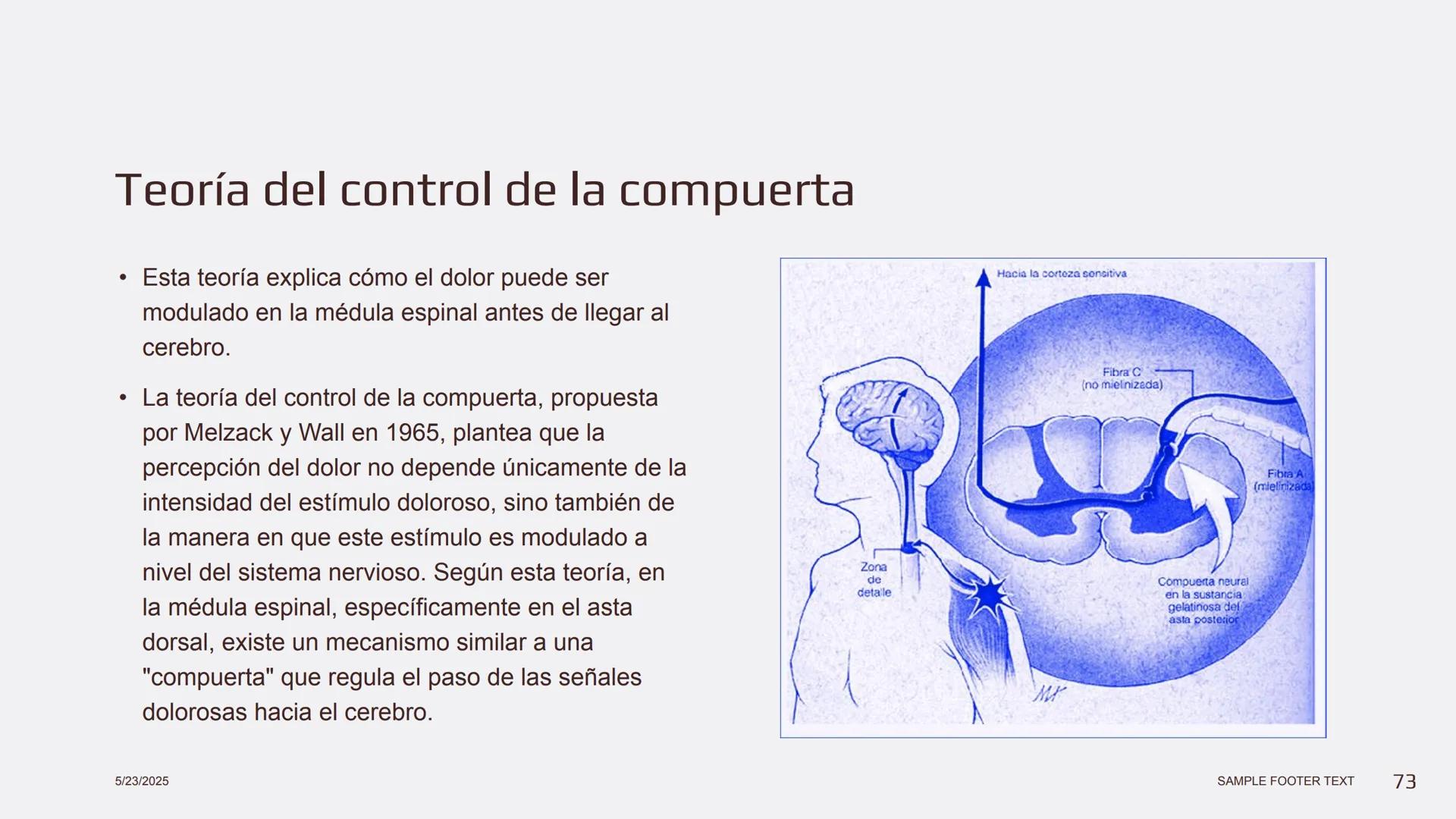 Física en terapia física Termodinámica
• La termodinámica es la rama de la física que
estudia las relaciones entre el calor, el trabajo y
la