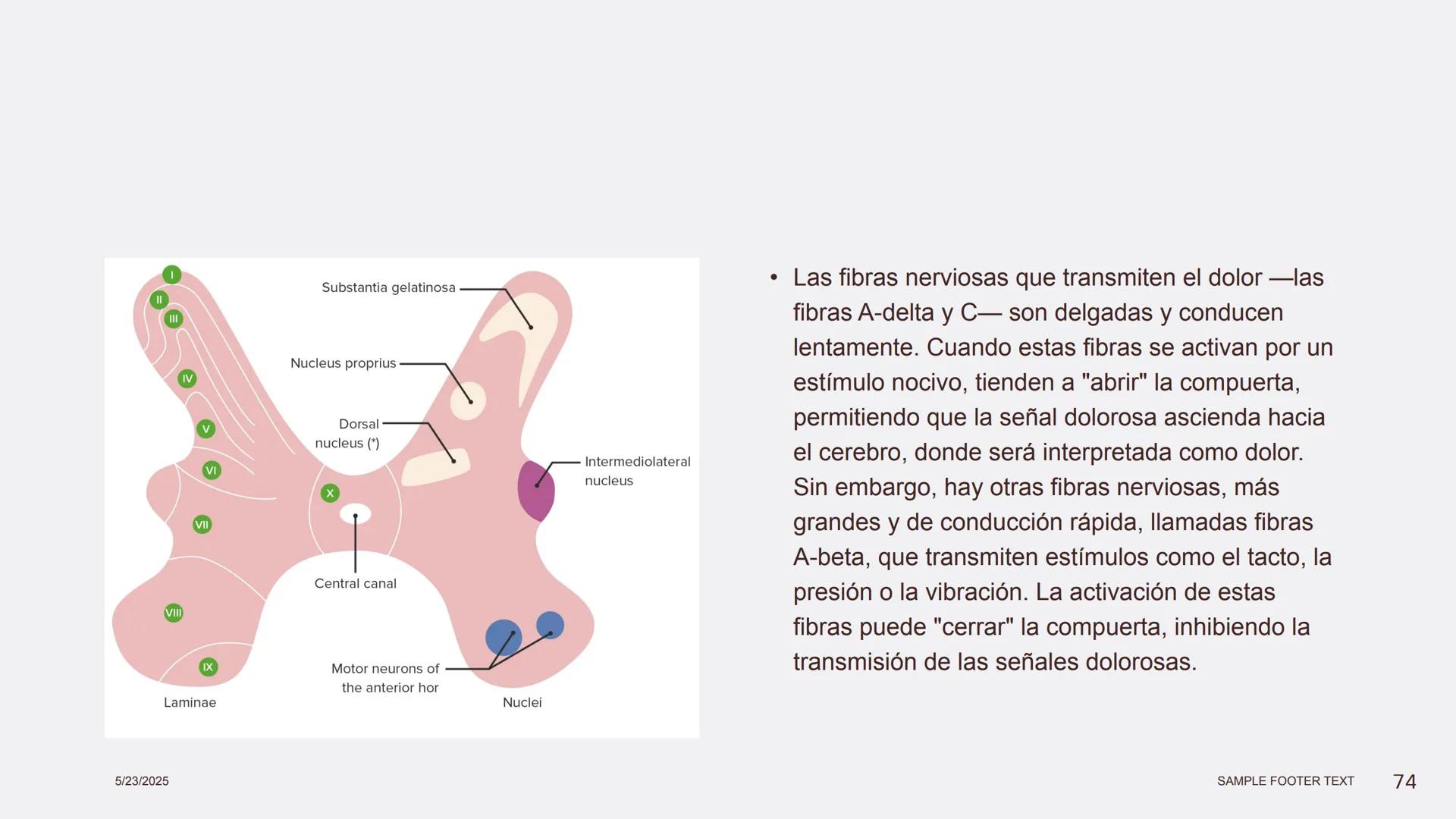Física en terapia física Termodinámica
• La termodinámica es la rama de la física que
estudia las relaciones entre el calor, el trabajo y
la