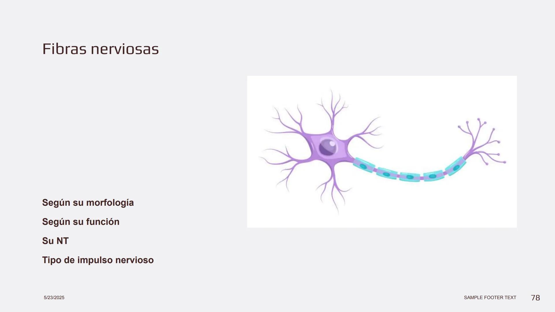 Física en terapia física Termodinámica
• La termodinámica es la rama de la física que
estudia las relaciones entre el calor, el trabajo y
la