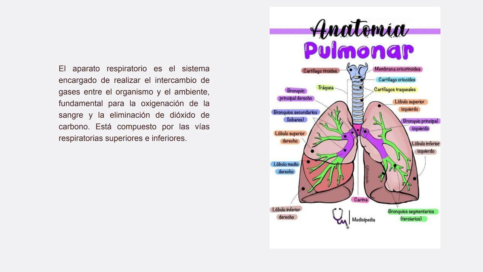 Física en terapia física Termodinámica
• La termodinámica es la rama de la física que
estudia las relaciones entre el calor, el trabajo y
la