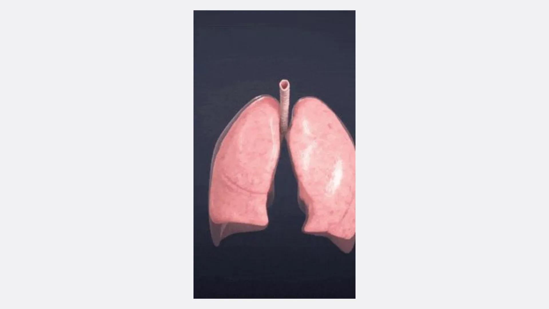 Física en terapia física Termodinámica
• La termodinámica es la rama de la física que
estudia las relaciones entre el calor, el trabajo y
la