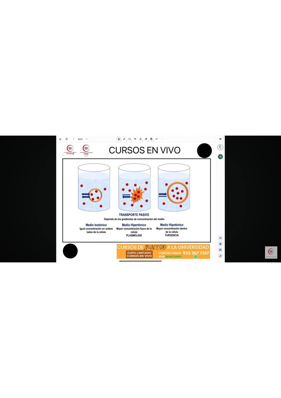 4. Identifique el producto que se obtiene en el ciclo de Krebs cuando al aconitato se
le agrega una molécula de agua.
a) Oxalacetato
b) Isoc