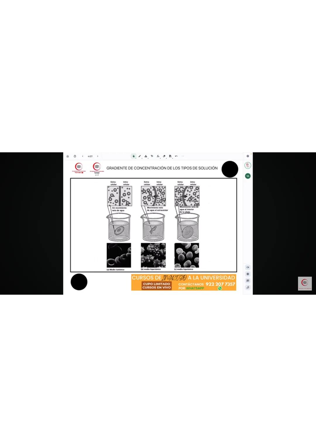 4. Identifique el producto que se obtiene en el ciclo de Krebs cuando al aconitato se
le agrega una molécula de agua.
a) Oxalacetato
b) Isoc