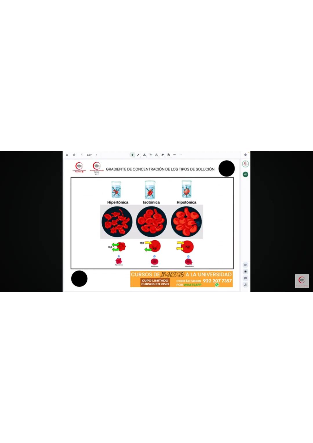 4. Identifique el producto que se obtiene en el ciclo de Krebs cuando al aconitato se
le agrega una molécula de agua.
a) Oxalacetato
b) Isoc