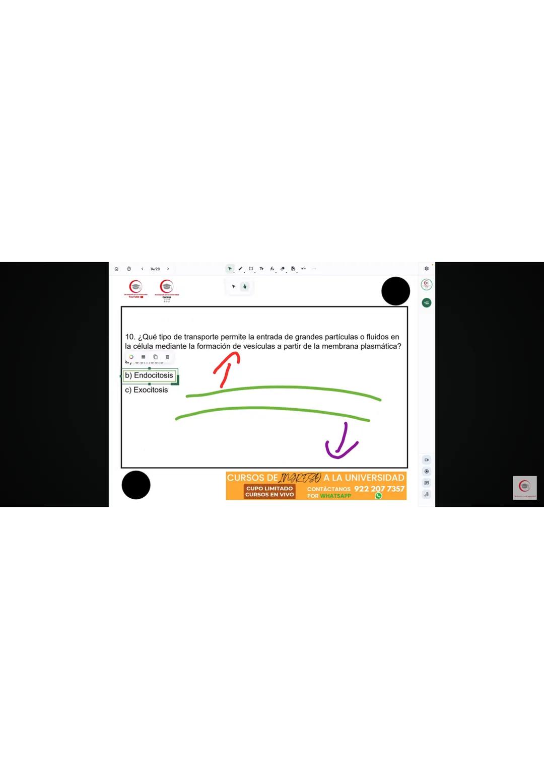 4. Identifique el producto que se obtiene en el ciclo de Krebs cuando al aconitato se
le agrega una molécula de agua.
a) Oxalacetato
b) Isoc