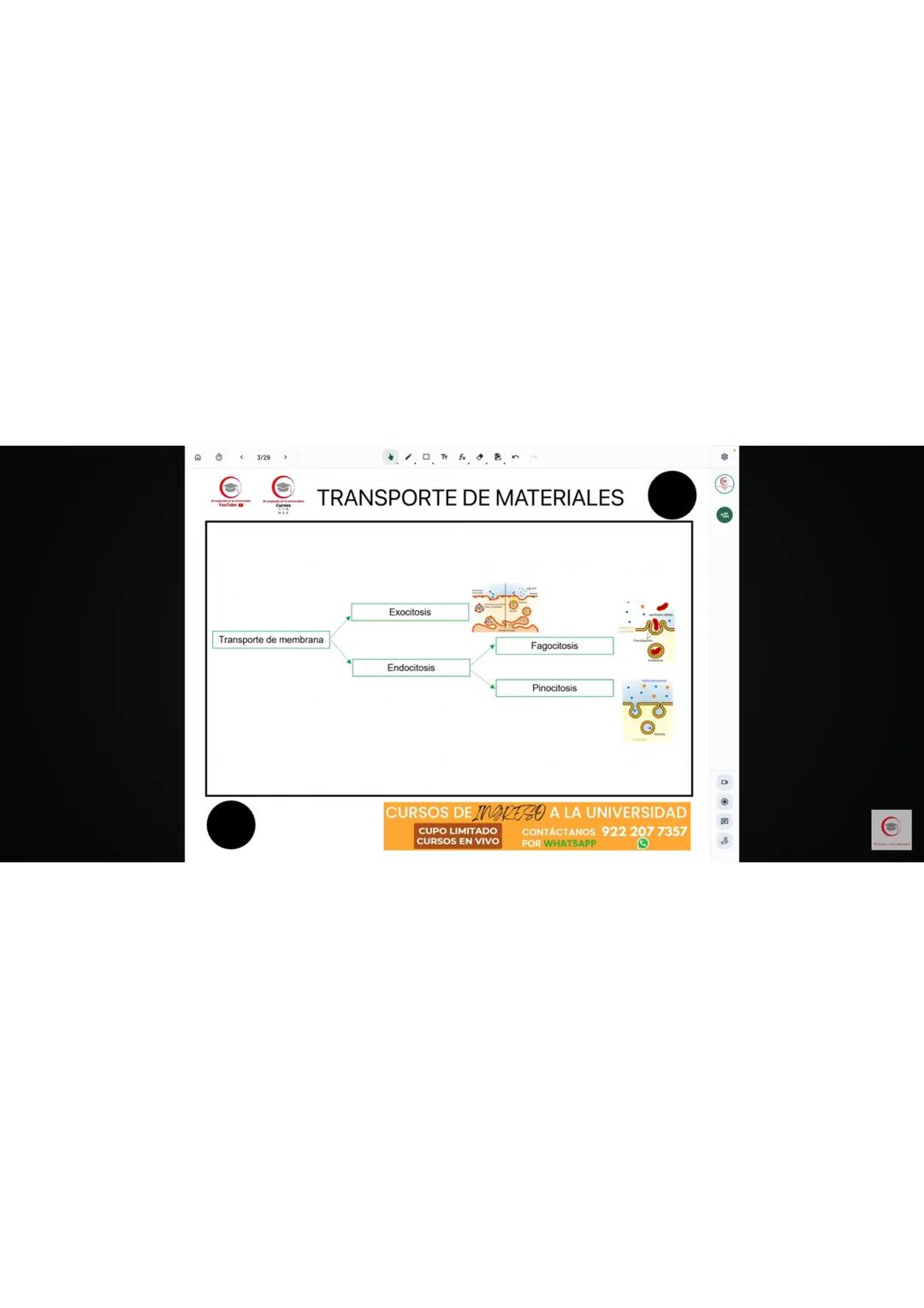 4. Identifique el producto que se obtiene en el ciclo de Krebs cuando al aconitato se
le agrega una molécula de agua.
a) Oxalacetato
b) Isoc