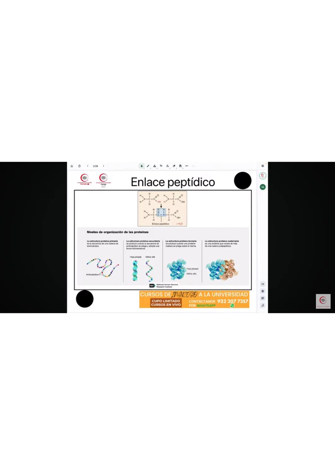 4. Identifique el producto que se obtiene en el ciclo de Krebs cuando al aconitato se
le agrega una molécula de agua.
a) Oxalacetato
b) Isoc