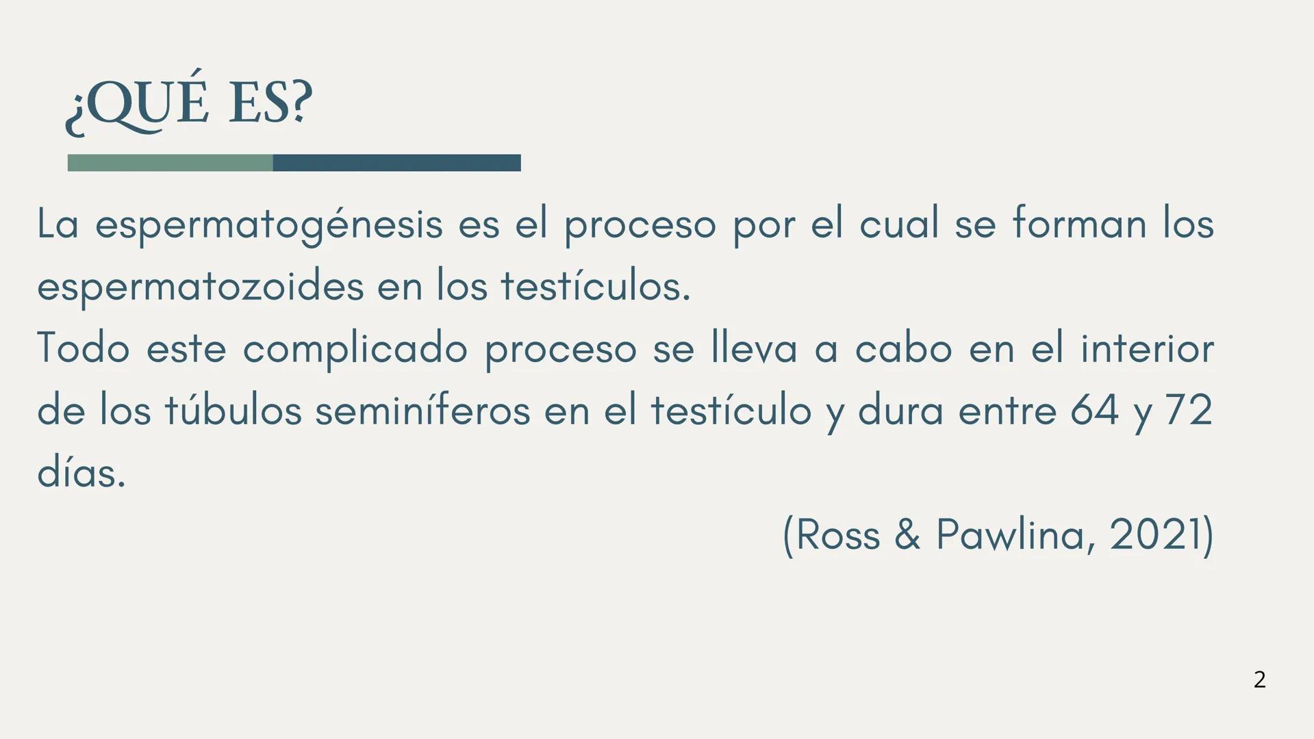EDUCACIÓN PARA LA
MONTESSOR
ESPERMATOGÉNESIS
BIOLOGÍA
Chavez Sifuerntes Gabriel
Diego Mendoza Rafael Tadeo
Guerrero Piña Camila Lizeth
Jorda
