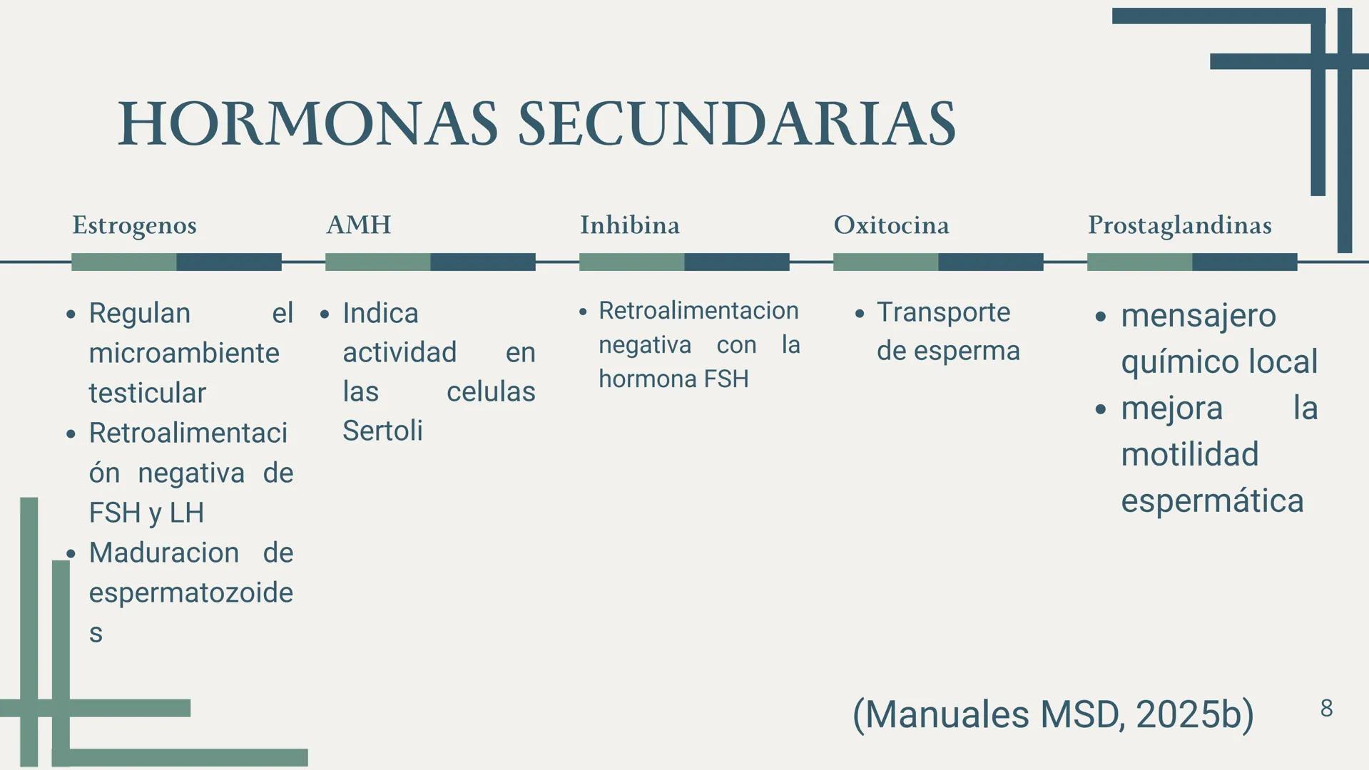 EDUCACIÓN PARA LA
MONTESSOR
ESPERMATOGÉNESIS
BIOLOGÍA
Chavez Sifuerntes Gabriel
Diego Mendoza Rafael Tadeo
Guerrero Piña Camila Lizeth
Jorda
