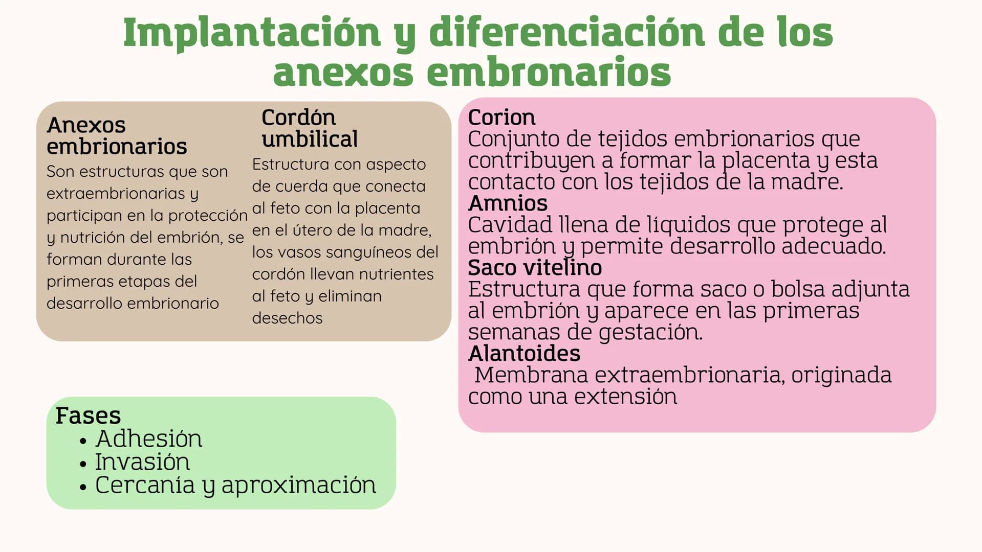 ## Universidad Olmeca
# FICHAS DE
# EMBRIOLOGIA
Alumna: Jaidy Michel Baeza Correa
Doctora: Yuli Bayona
XX
XX
←
X
X
←
< Gastrulación y neu